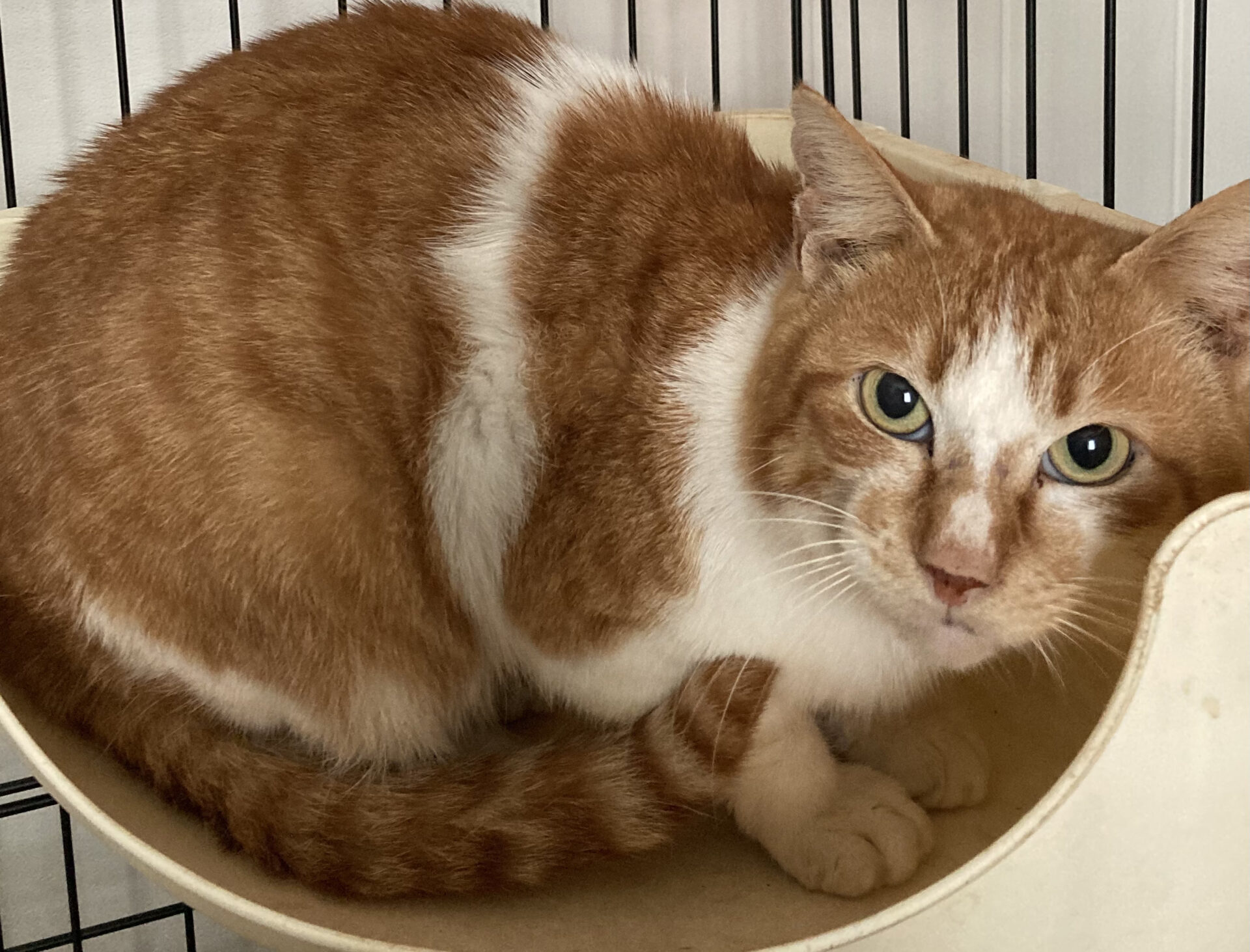 45F227F9-9F62-4591-AE38-9A4B78E751B8