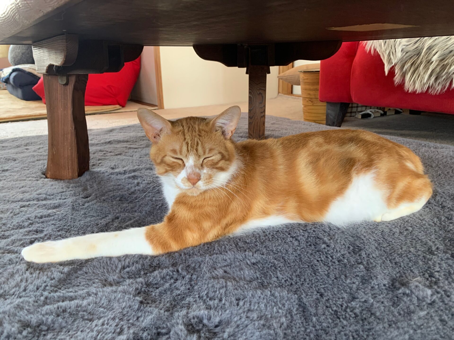 65886242-2589-4195-AAF3-602613F02B25