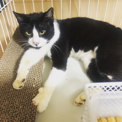 7B75A17E-AEDE-42B7-9FF0-2DA19B7EC6C0