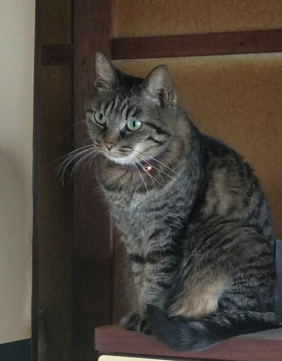 A20E1C65-D801-4DF9-9D06-17151BEB0C38