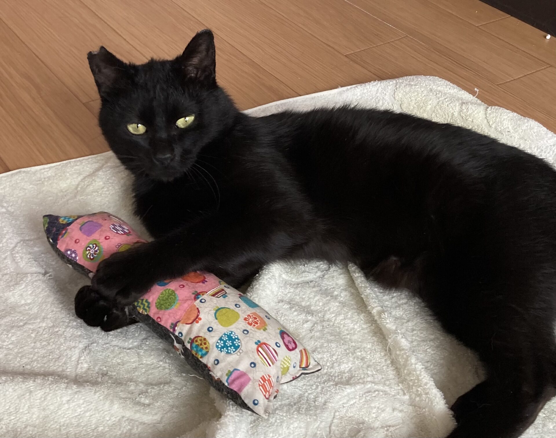 ABD877E4-C6E0-44A2-8728-E1B5C0D36980