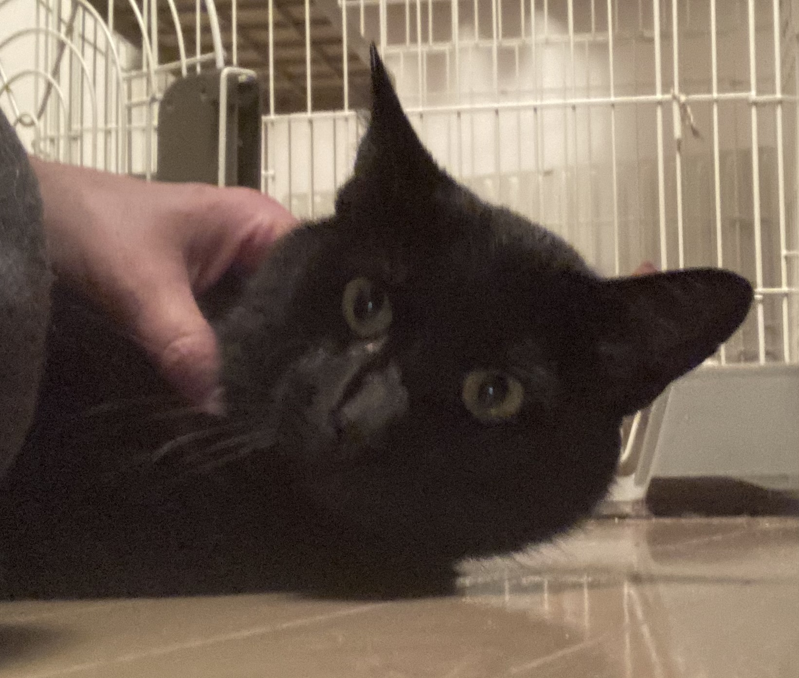 B54E7B3C-E260-4E36-BF37-1D1A4A2213DC