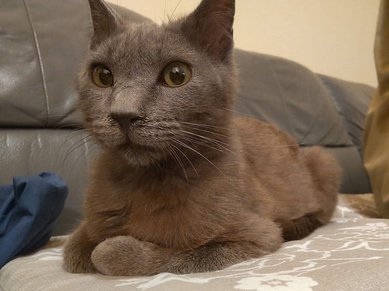 HORIZON_0002_BURST20210417231004843