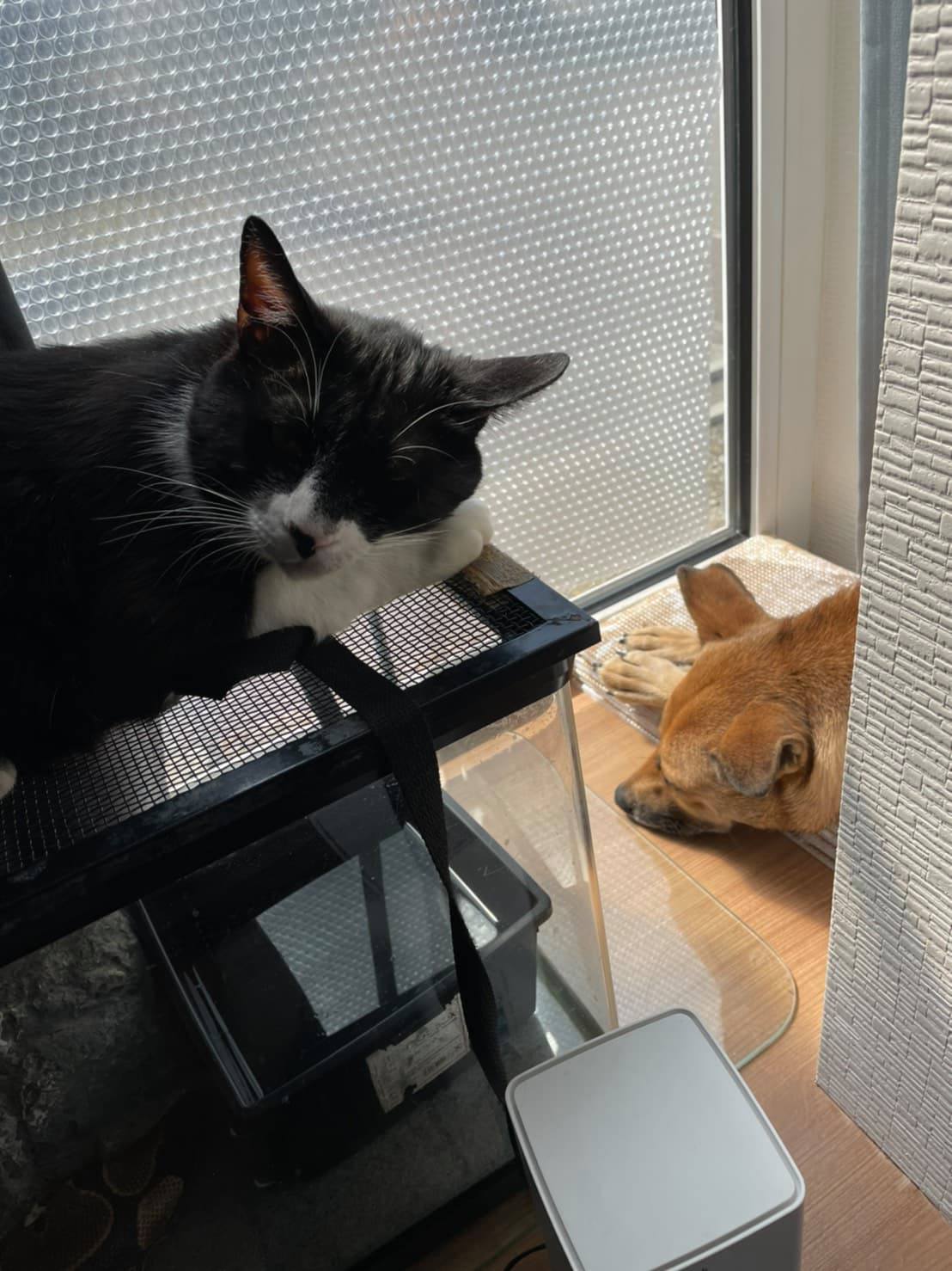 193328870_1436146903450992_7735558521555994116_n