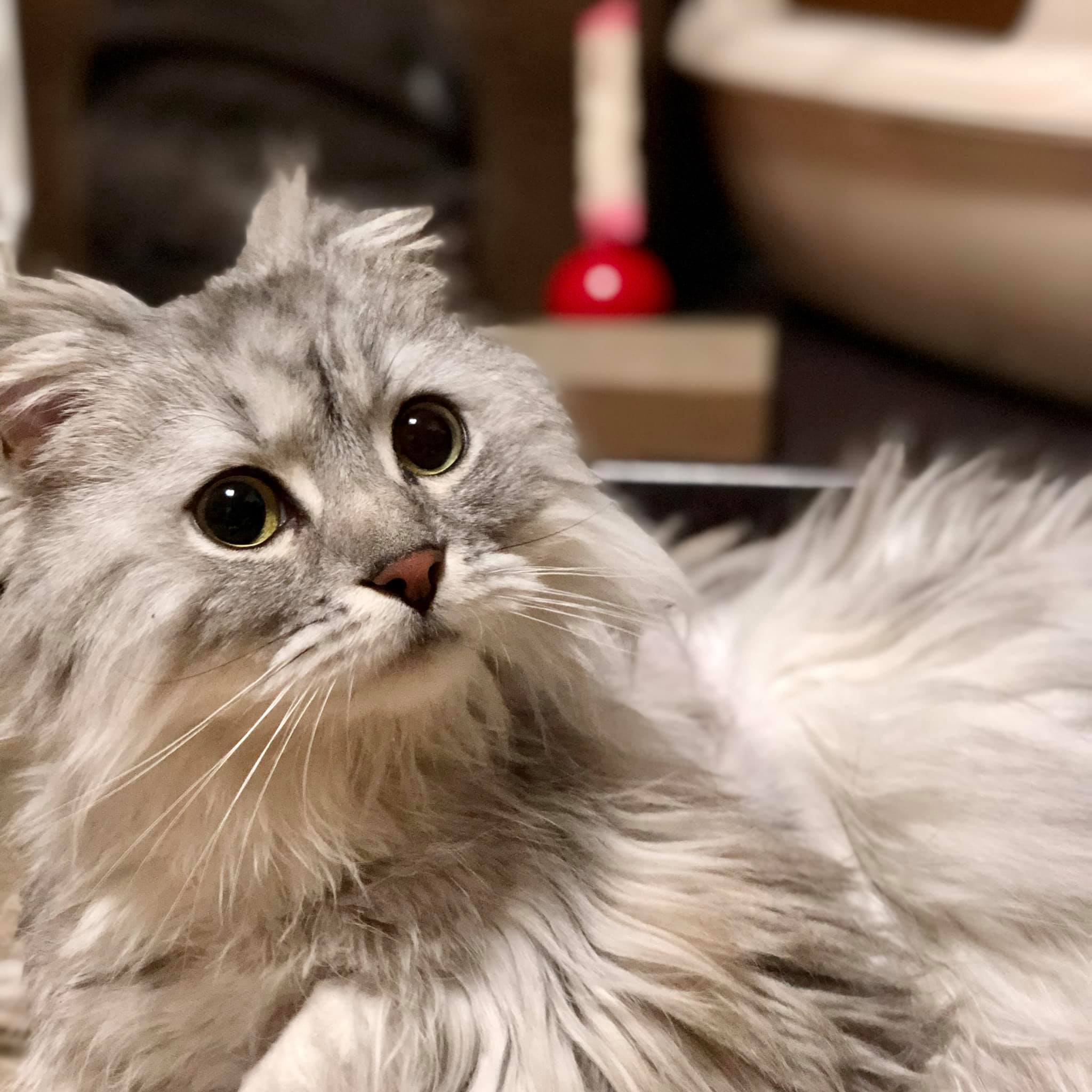 199248862_10226121041878242_5195101234482289161_n