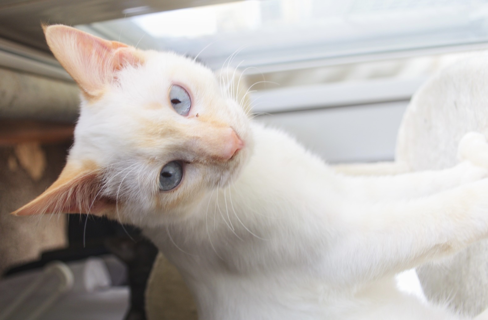 523DD7E0-C9CD-4589-BE7D-D48B808E5EC3