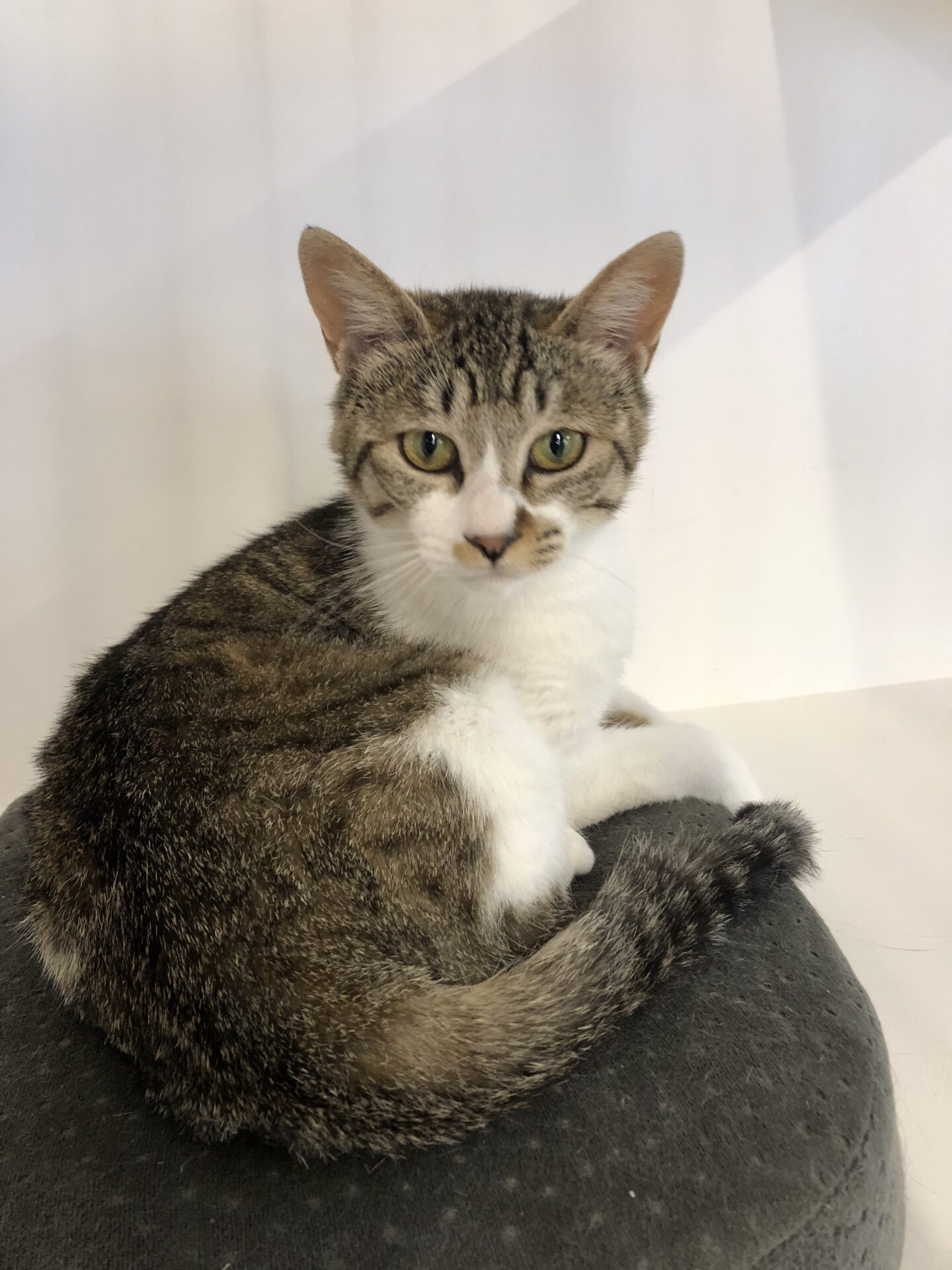 C957E894-7A5D-4E68-8A34-FAB9D2D9B87A