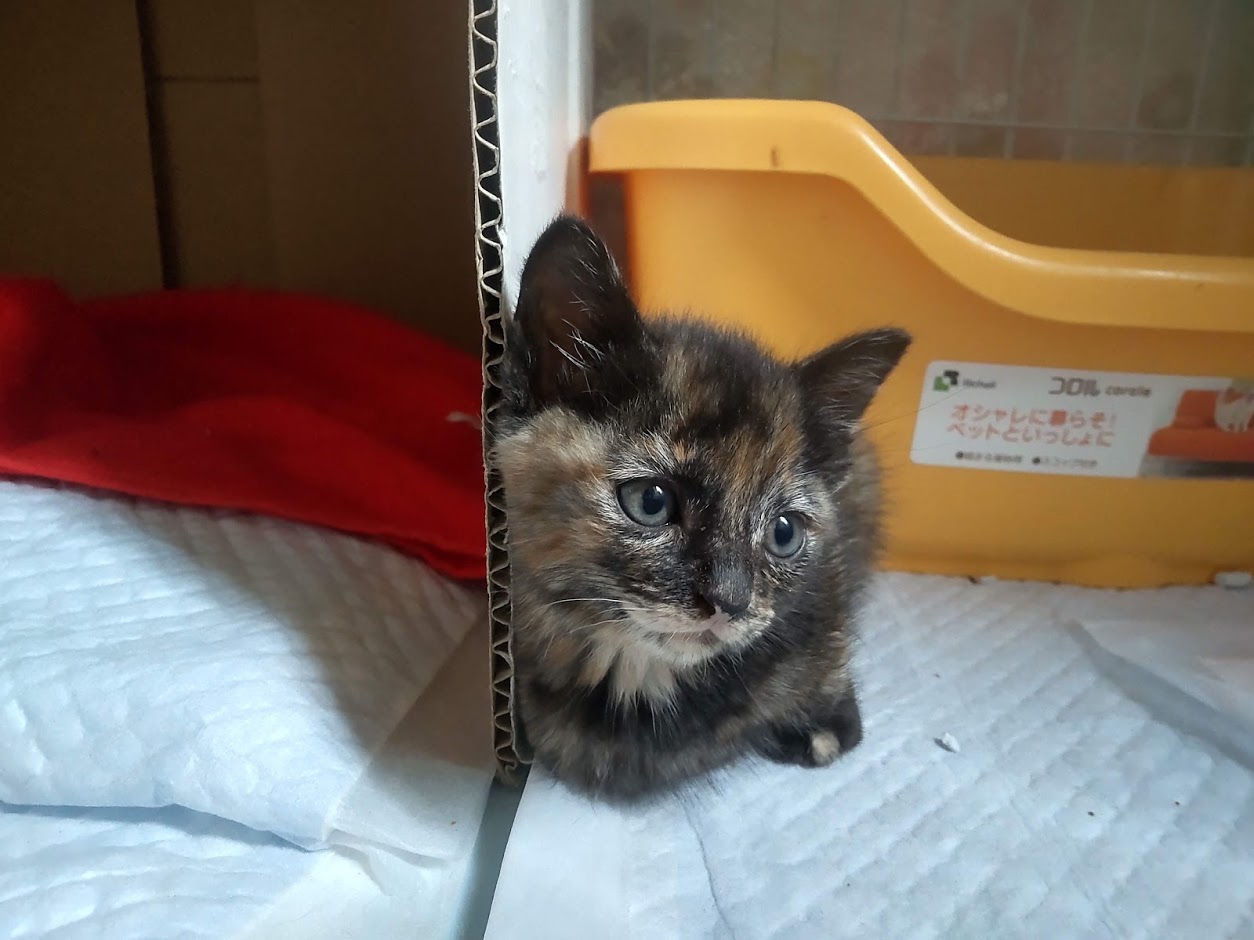 CENTER_0001_BURST20210612082836318_COVER