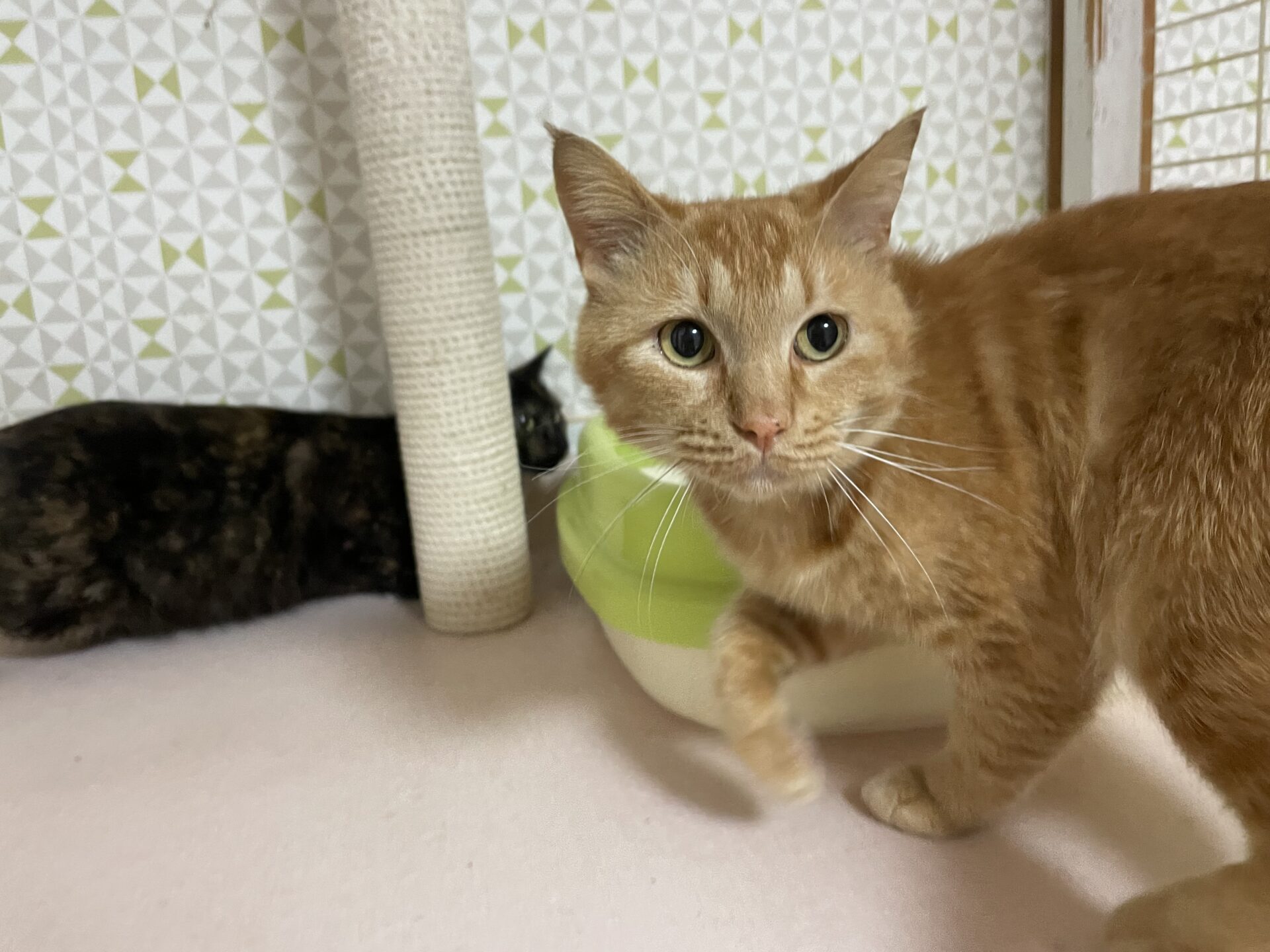 F9448FC8-1C58-4A3E-94EC-E69410460888