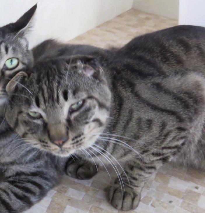 0187E8B6-7FD4-425E-989D-4314F58DFA76