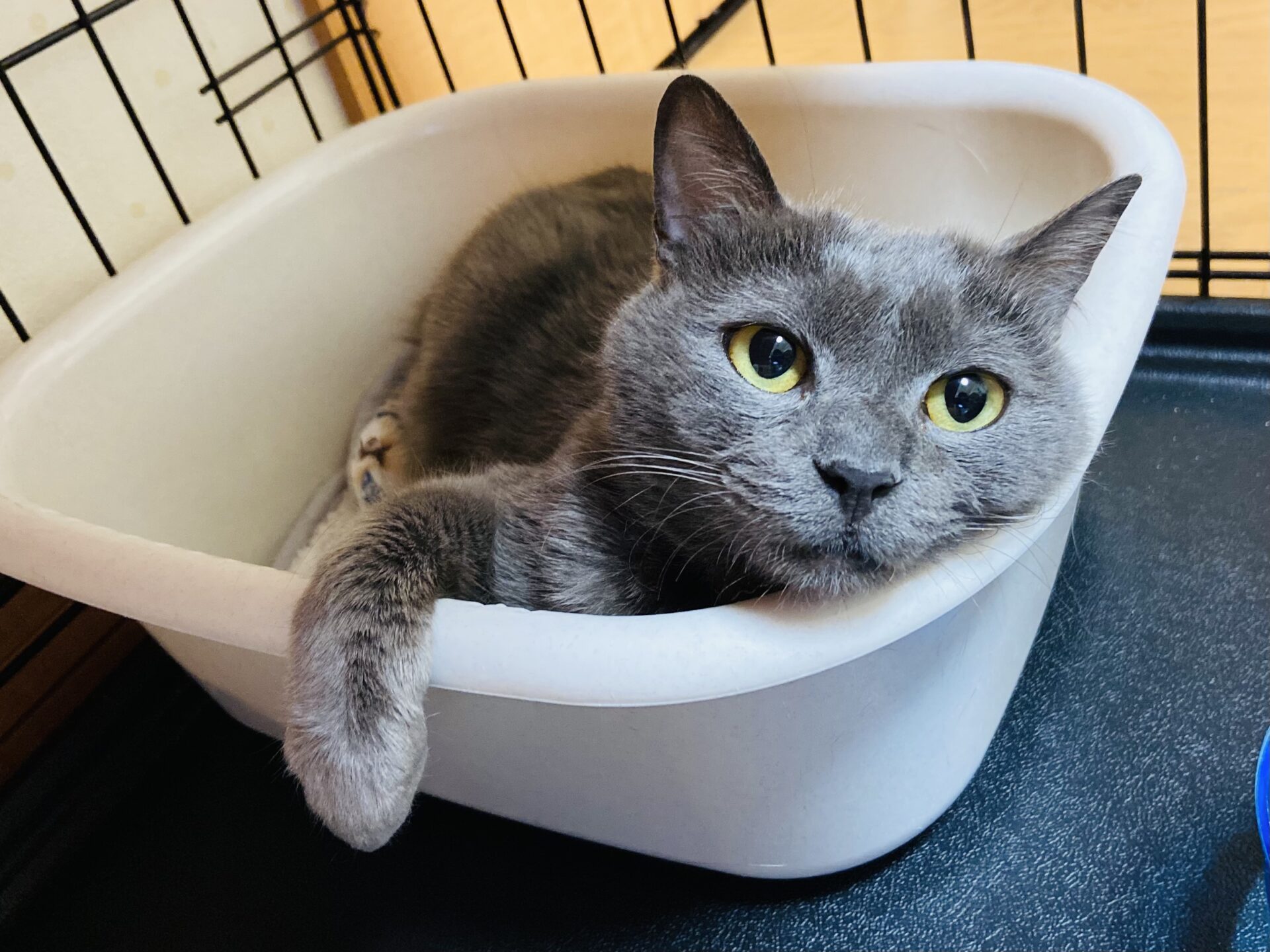 147AEDB3-609B-4E33-9C12-28D614E40E1D