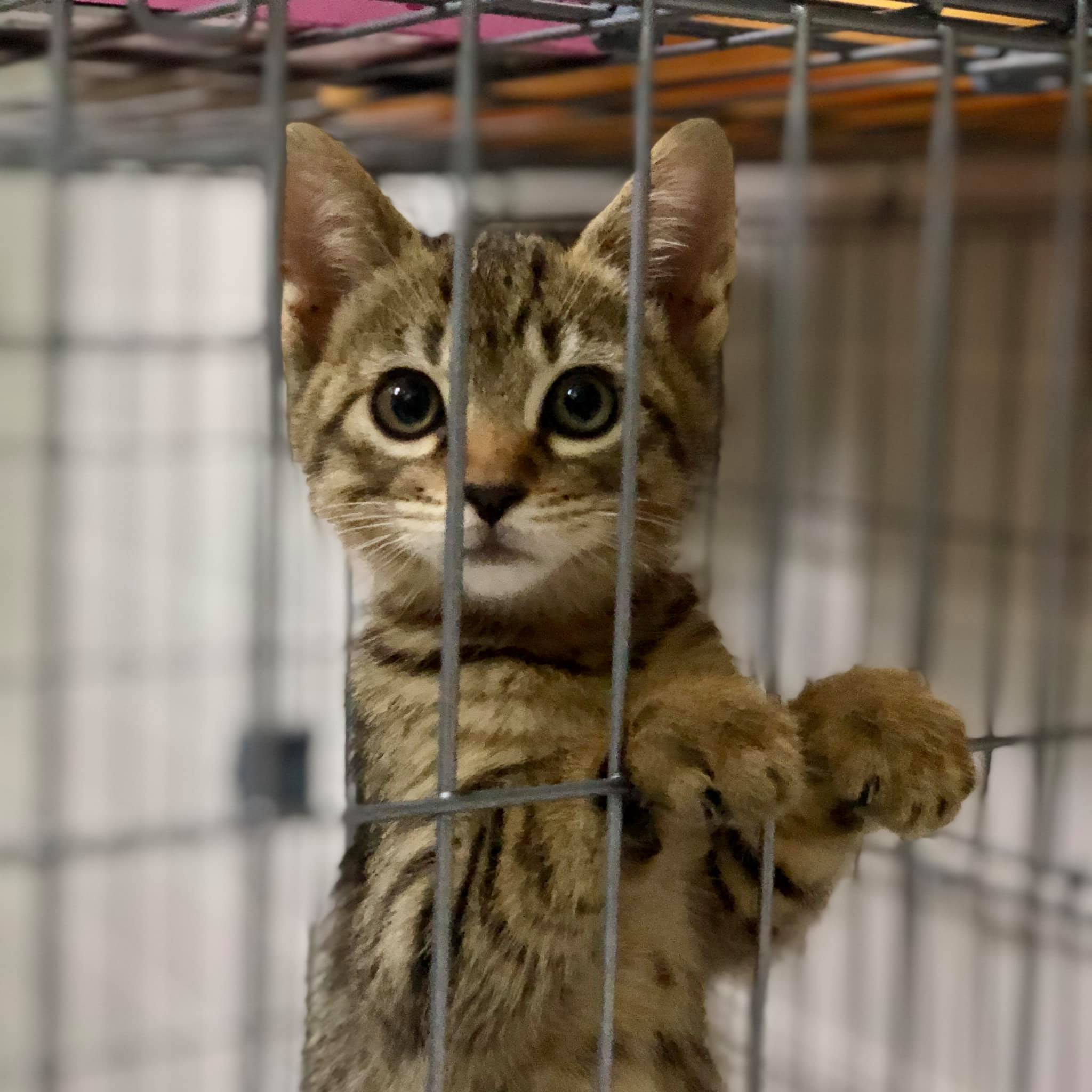 212545713_10226281696614510_8645764335398678120_n