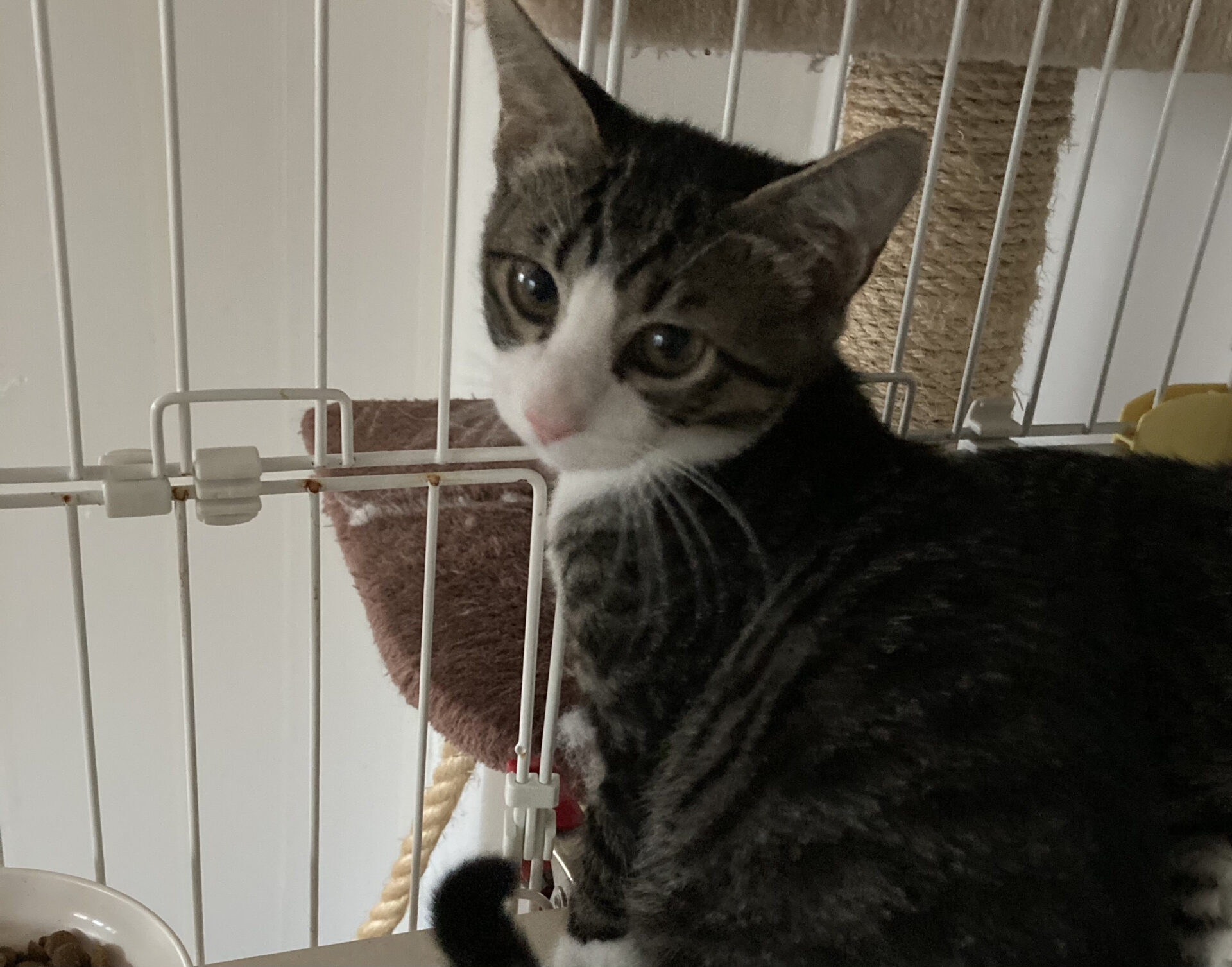 2B025DFE-F720-4BFC-99FC-BA3D2FBC44DC