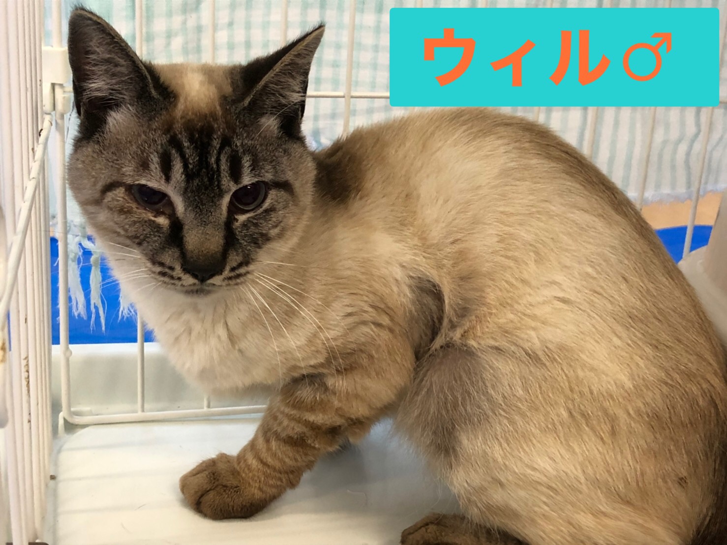 3F7508B8-6FCB-40A8-AFE4-68B358DDF7D7