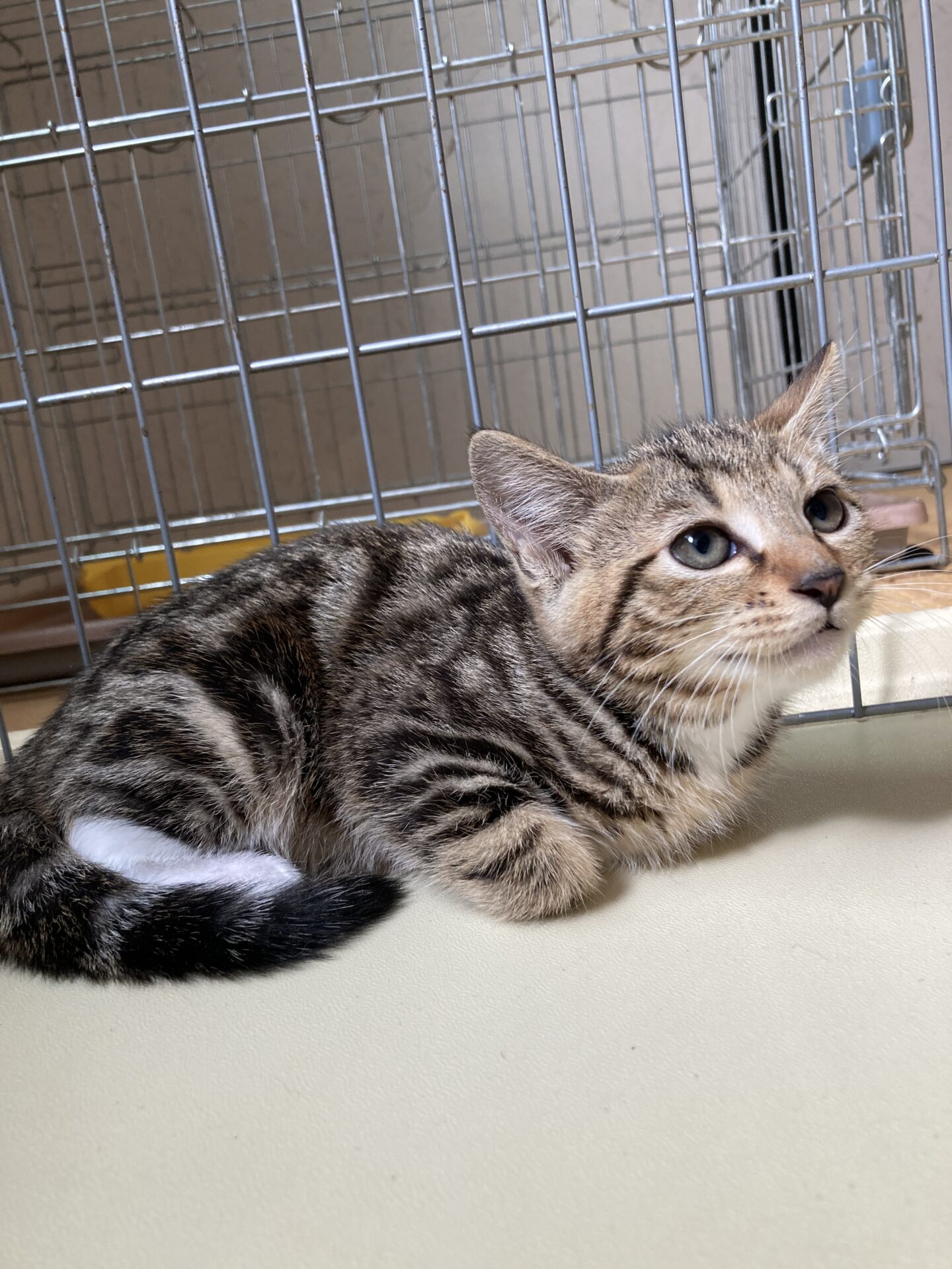 4311B67A-DB4A-4F85-8DA4-4CF2DF5E4B5D