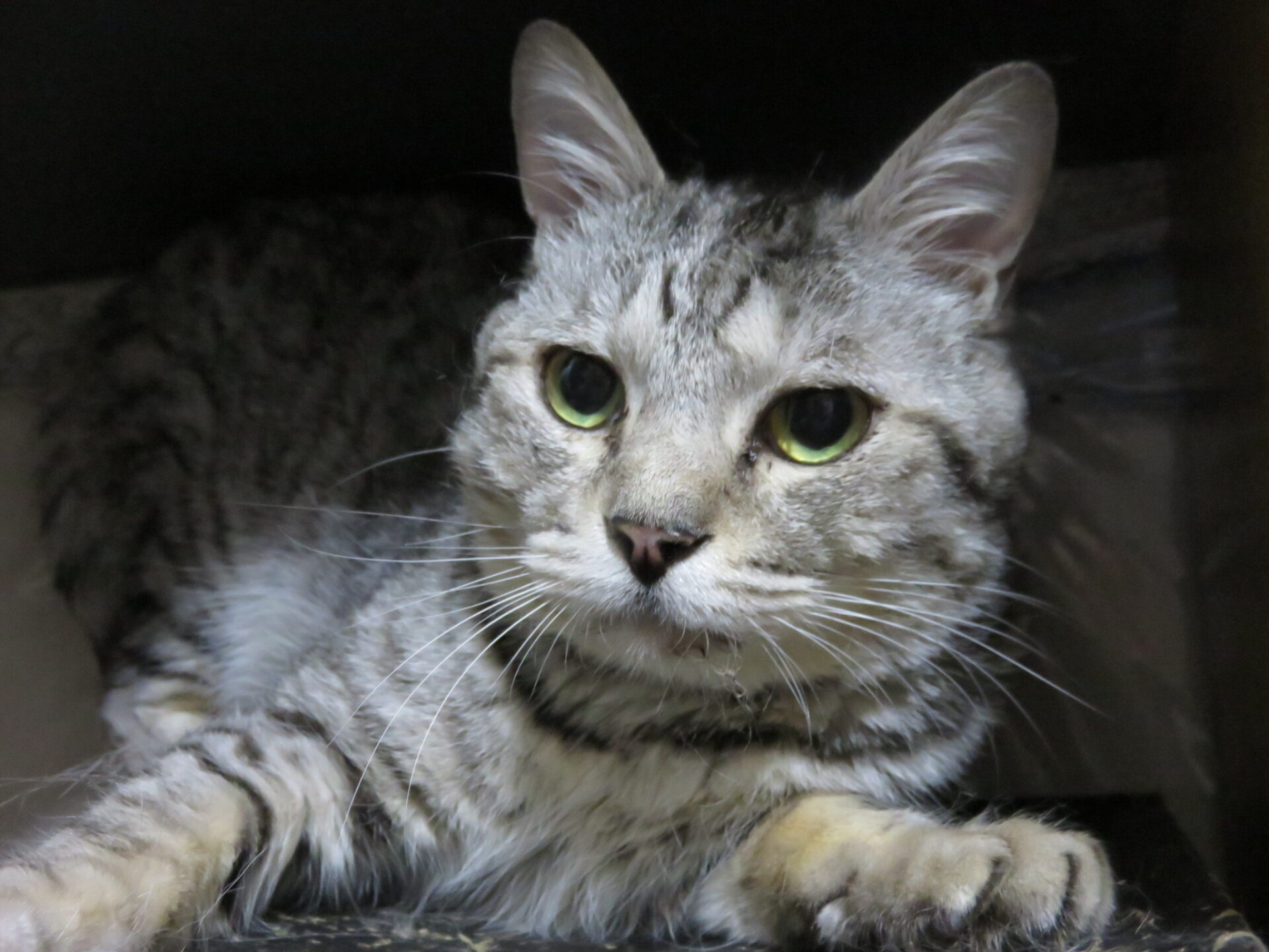 5F9B14BC-E603-4937-B778-7AD83E50B6B5