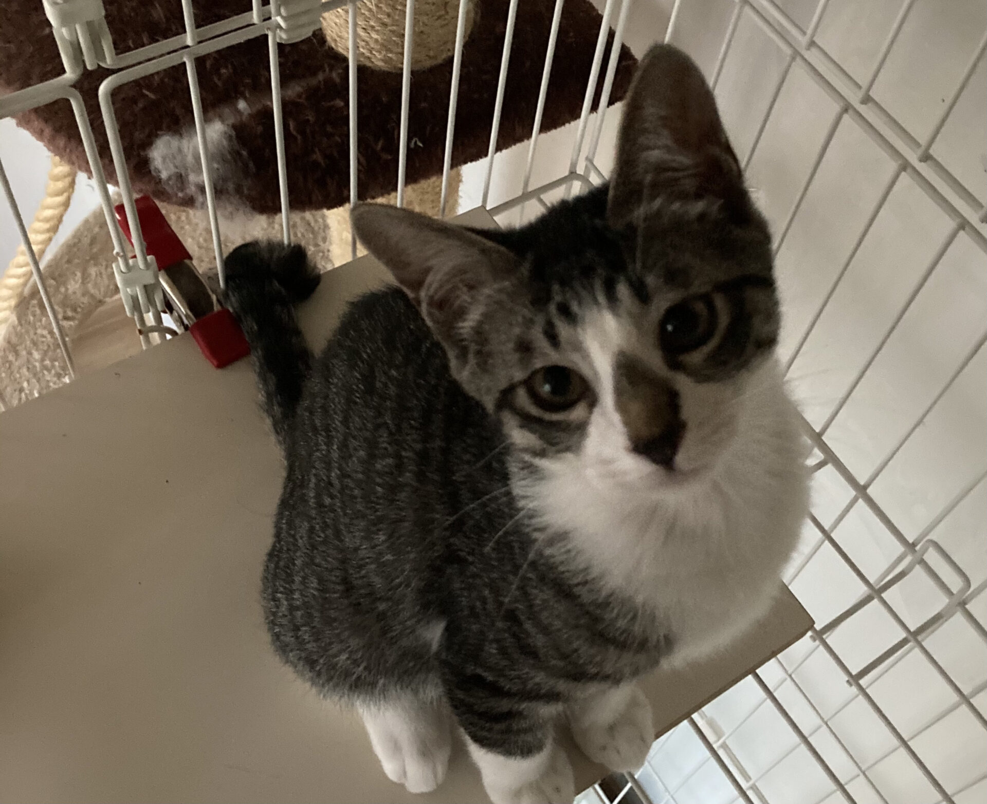 A53F0291-3EE7-445F-8BA7-4C4DF155455E