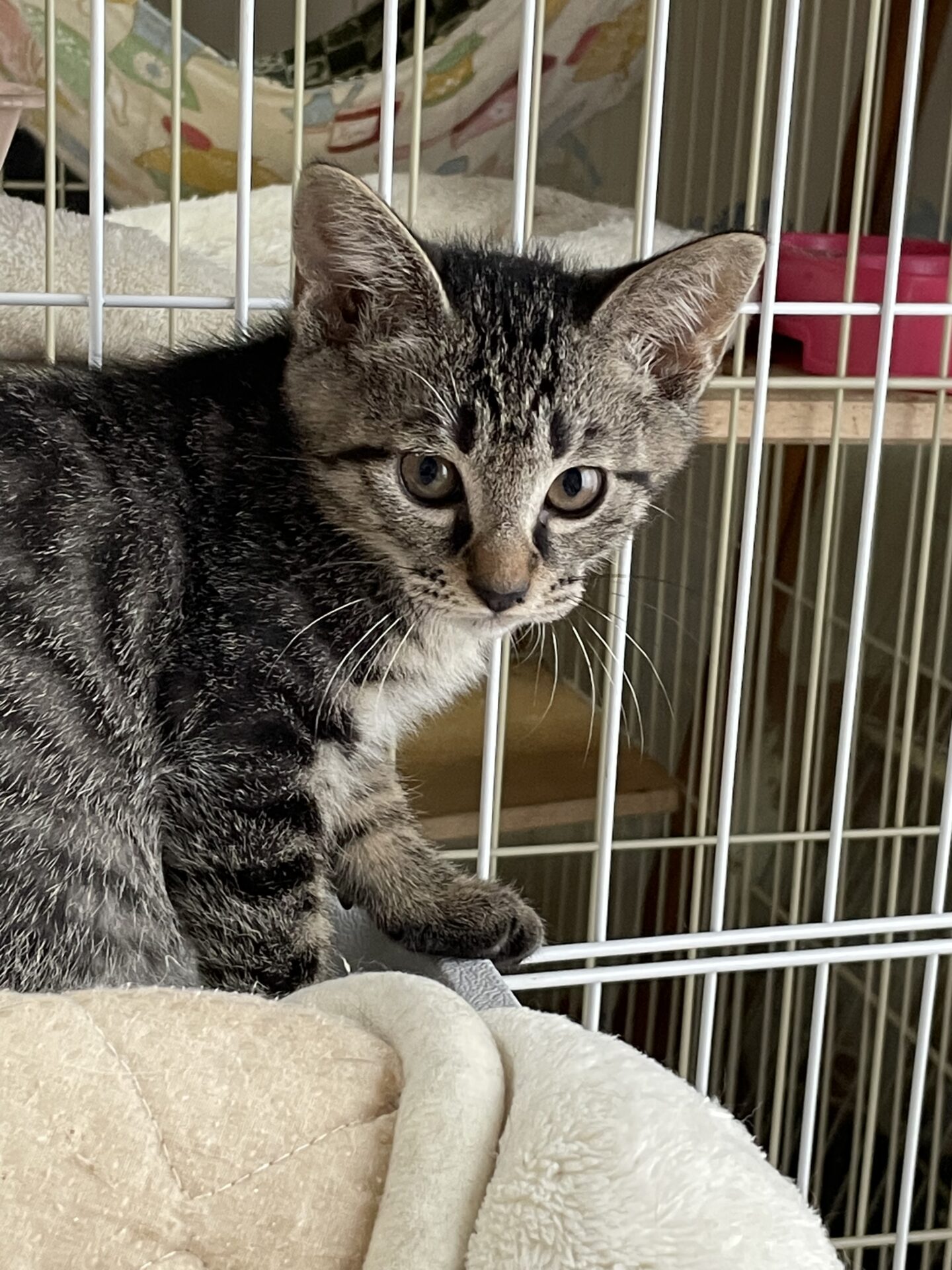 CFD7946C-924B-4CAB-8A58-9855353475B3