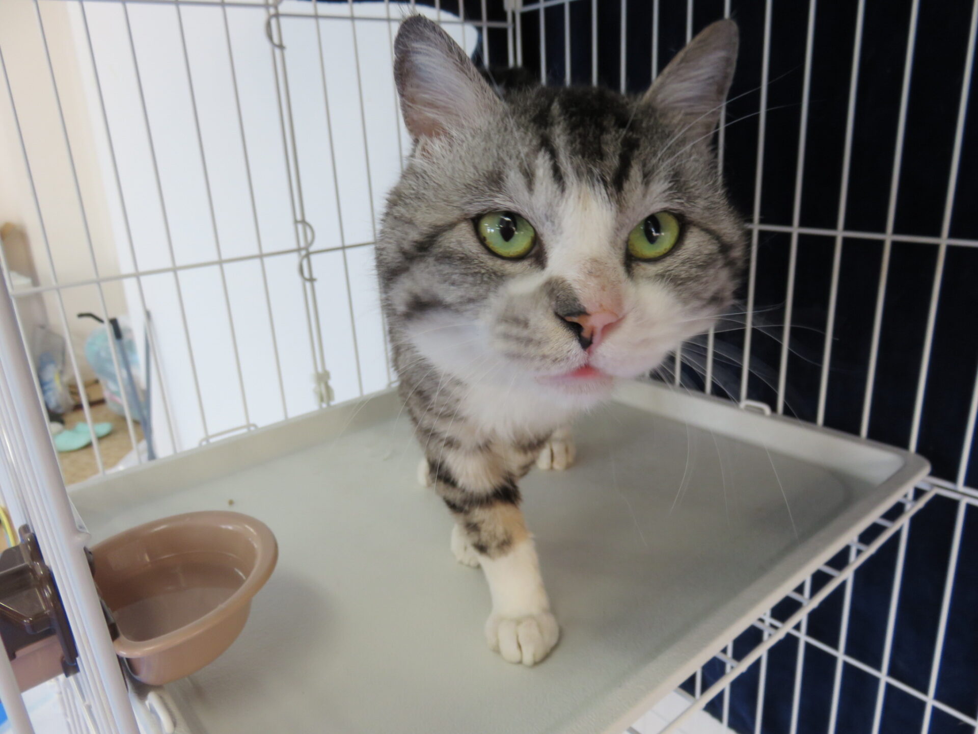 E6F13C0F-341B-4C6D-B891-267B93D2439E