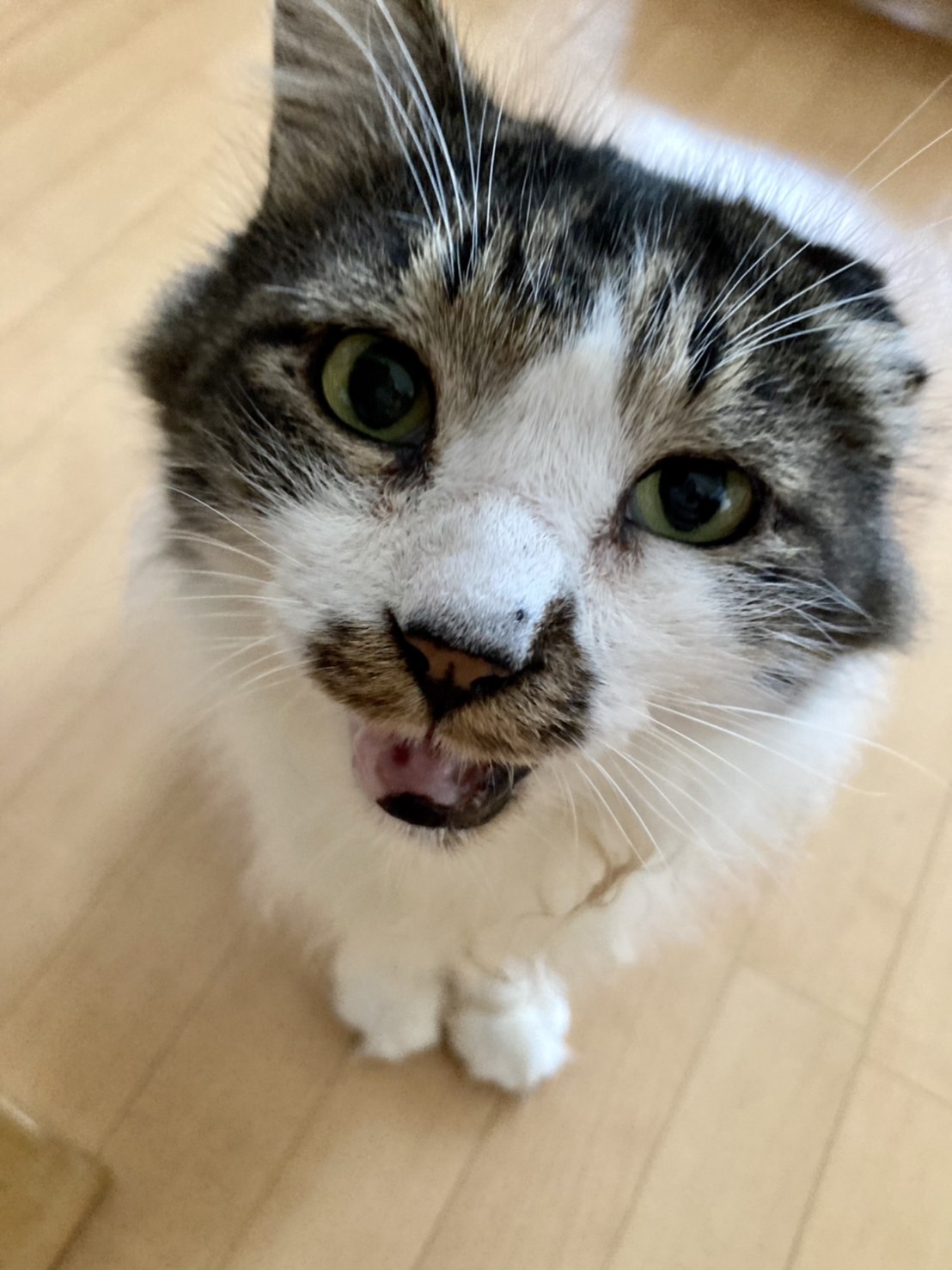 E7CF7725-ECBA-4B21-A88B-1276018C3CCB