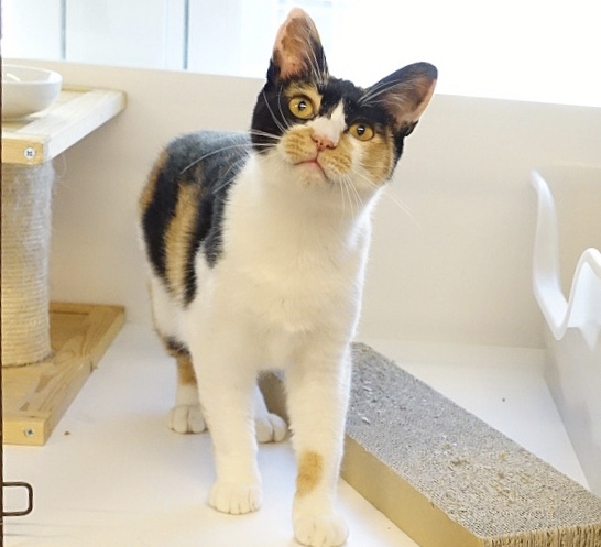 F10D1926-2776-45E7-A7B3-EB048C735AC0