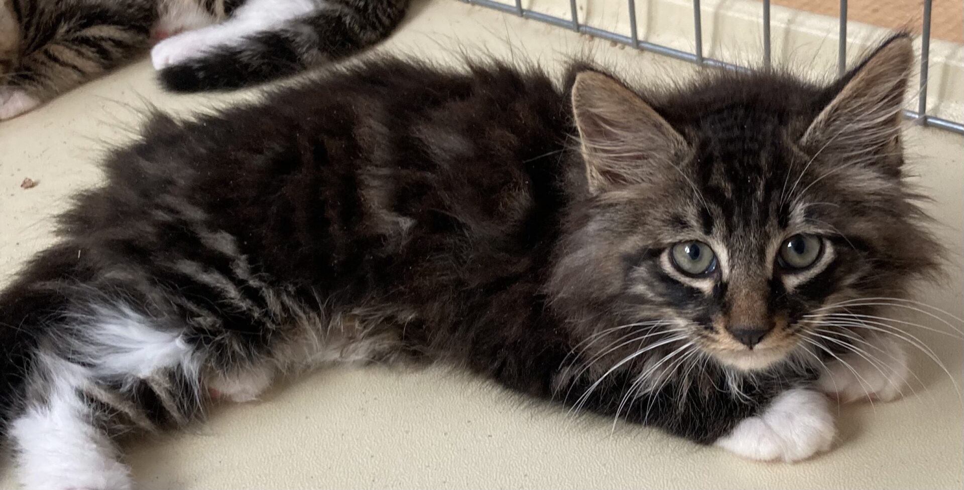 F7360546-D1CF-484E-A46A-C382B8348487