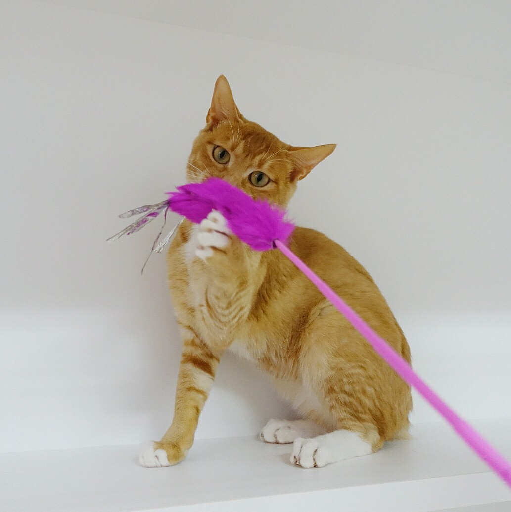 0504989B-888E-404C-9CD4-B8B9B893F70A