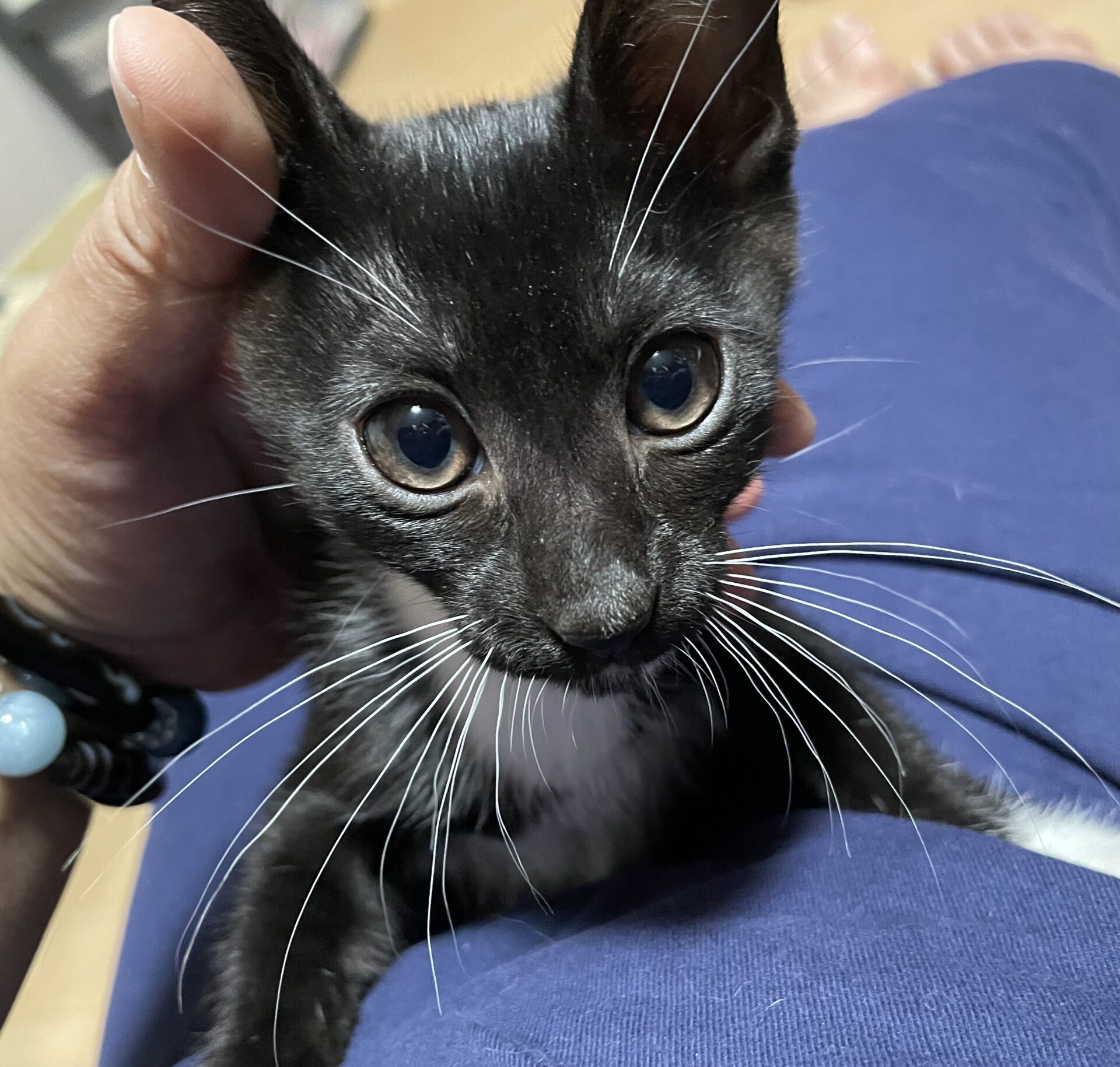 2766BC35-45A3-4599-A131-A2932F0F6E7D