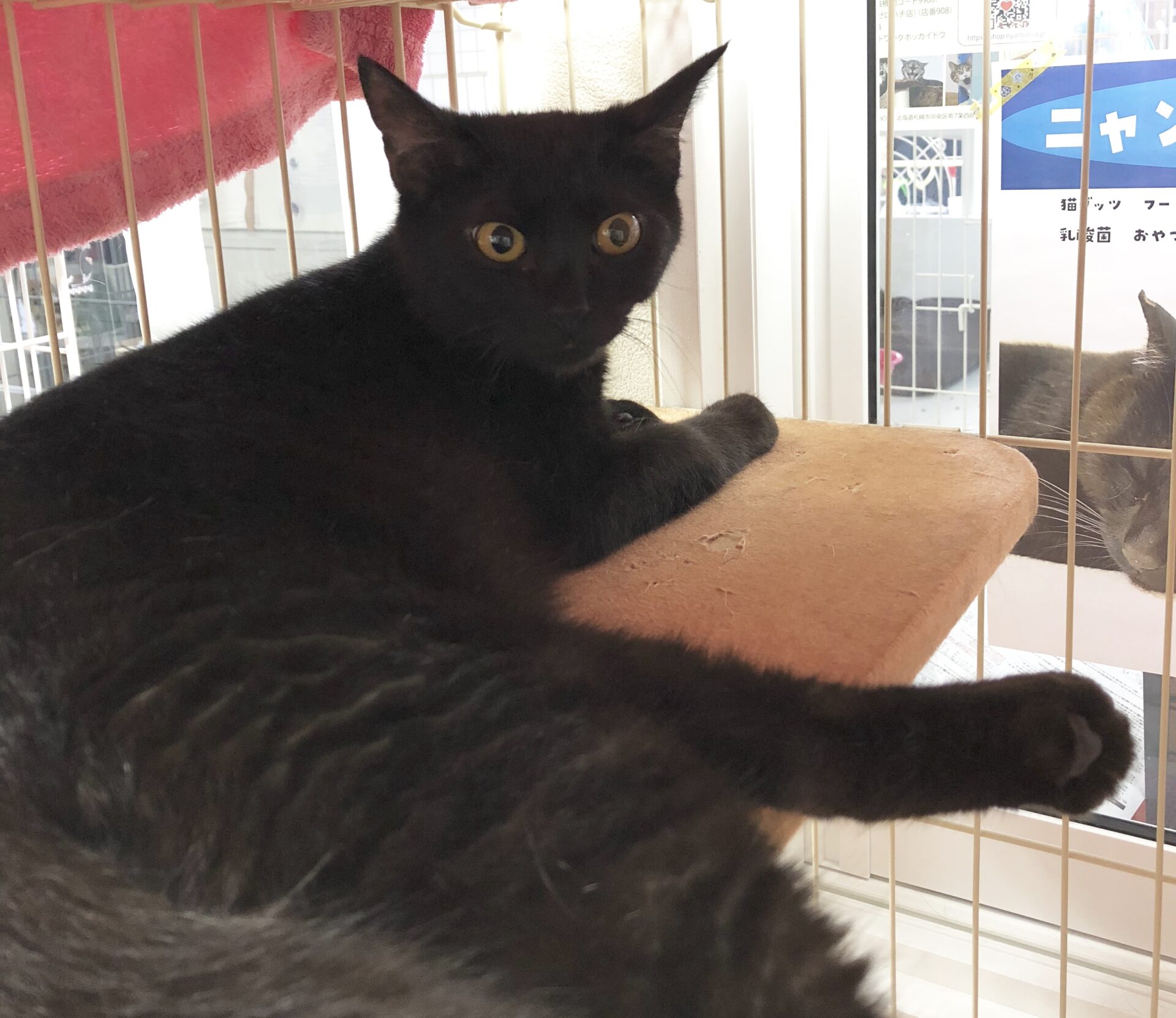 53219C75-8936-4892-A9DF-744DA821876F