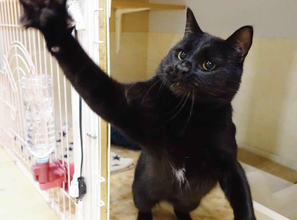 61D22456-E741-480E-AC00-D2102D722133