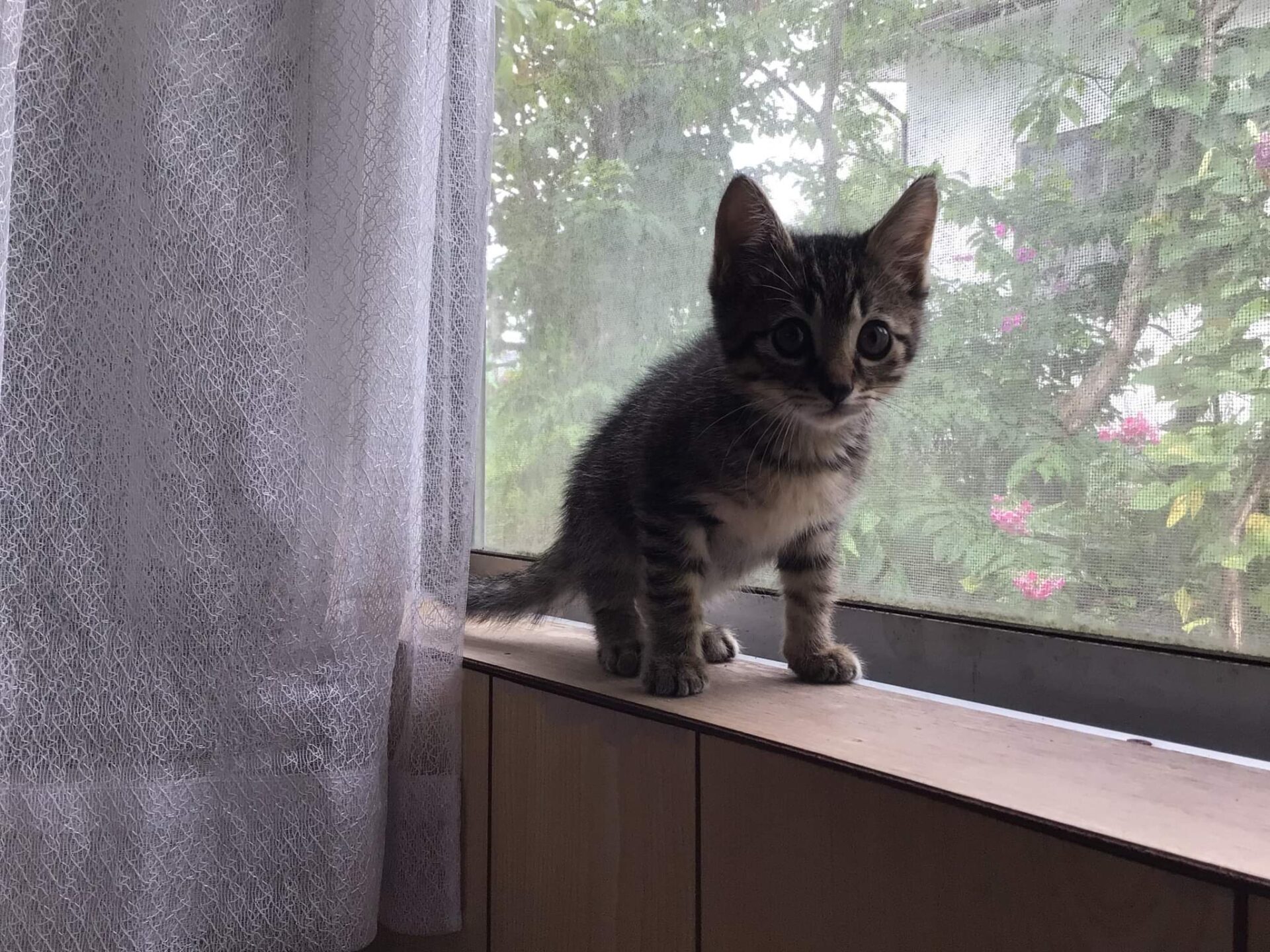 6F52BF1E-119D-441C-A552-35C423853966