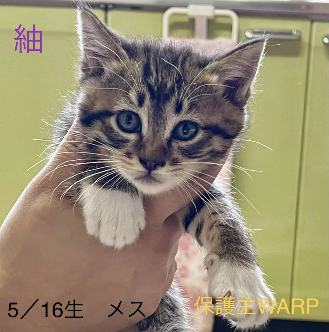 7D060CF7-69C5-4EF1-A564-CCFE00A2E746