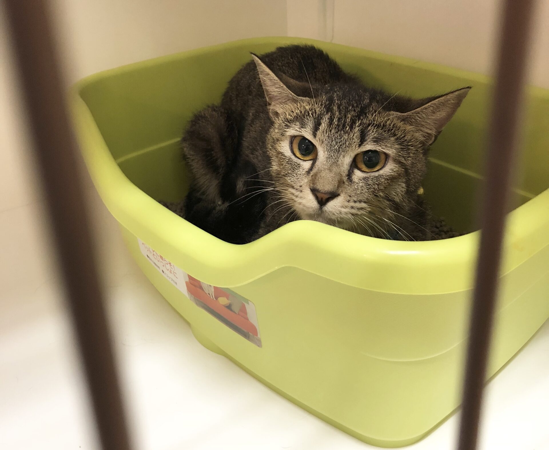 7F929A1C-94D0-476F-92A3-7A757219D548