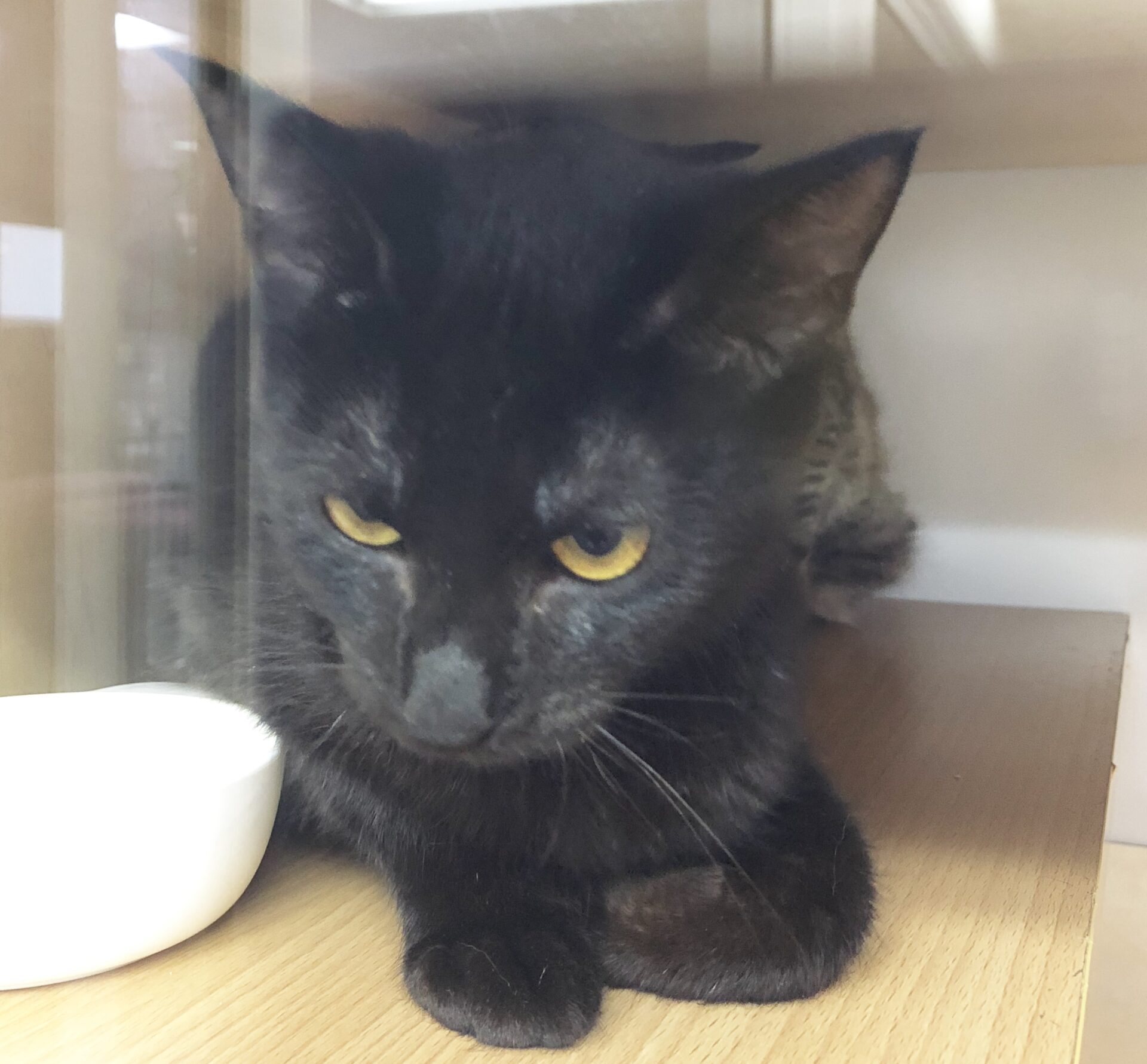 8133712C-A800-474B-B8E0-D19E65A30B27