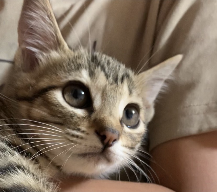 84C62EEA-06BE-4273-83D1-D3F3287046D8