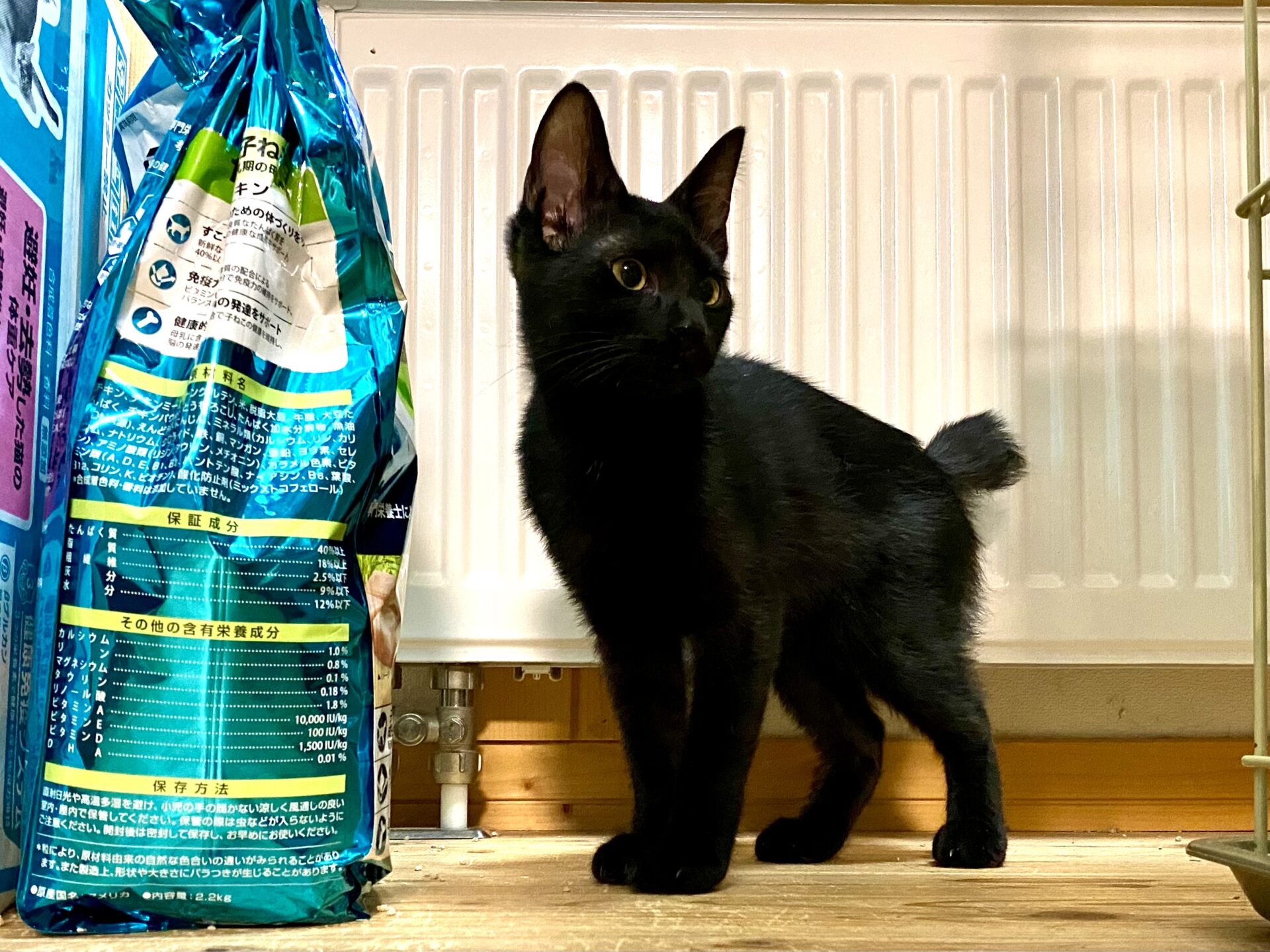 85156A12-881C-4025-A45B-0D953FF25408