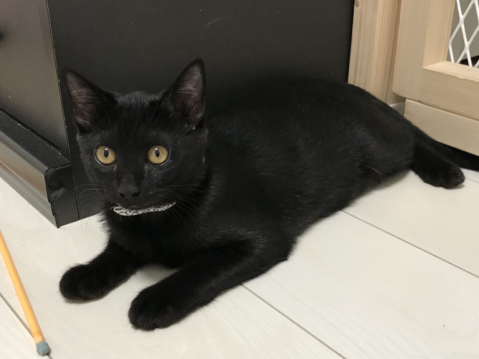 994329B0-E56D-4DFB-9C65-5D592394F604