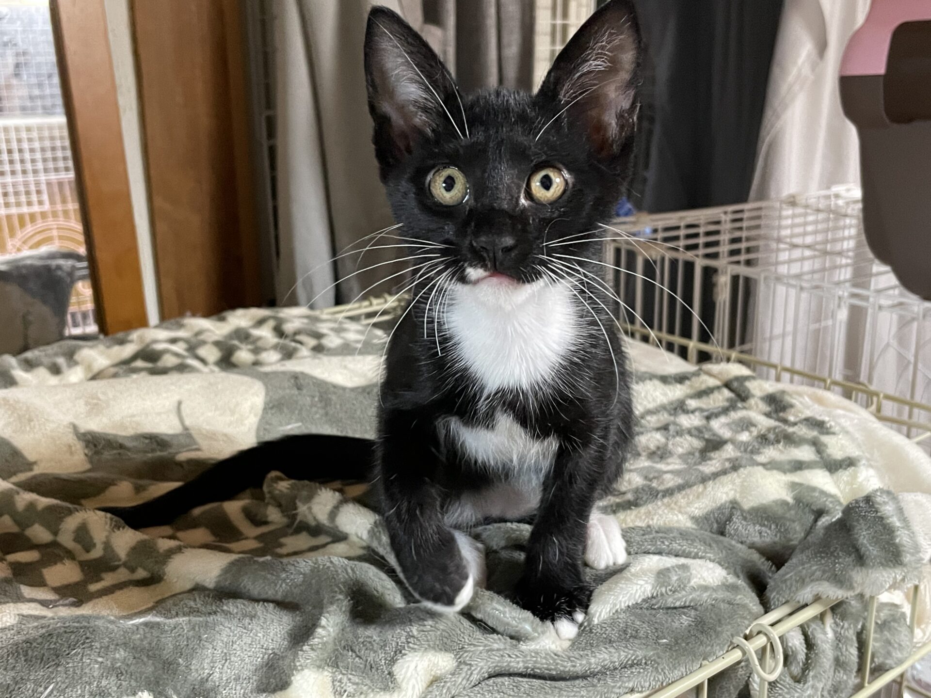 9E5AD8EB-3A6A-4281-B01B-8DA7D092D958