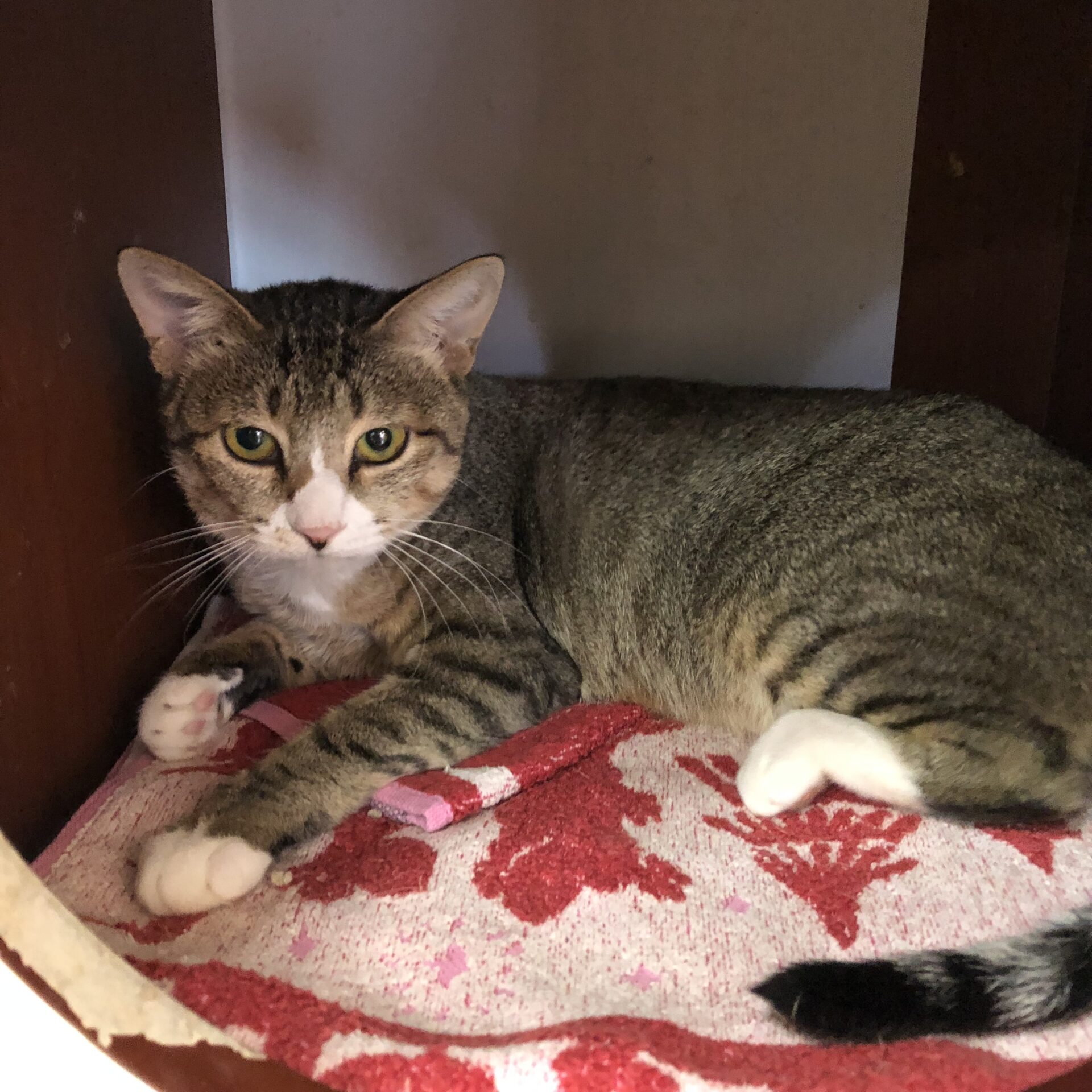 9EEA1364-AD0A-4402-A891-CD281EFFEBF3