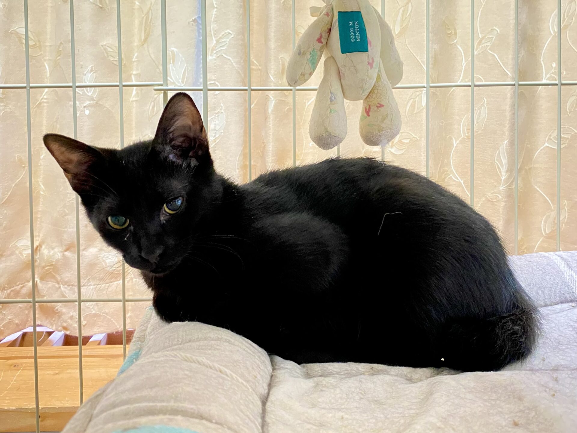 A457D45E-5EB9-48B3-8182-E062F7F65A54