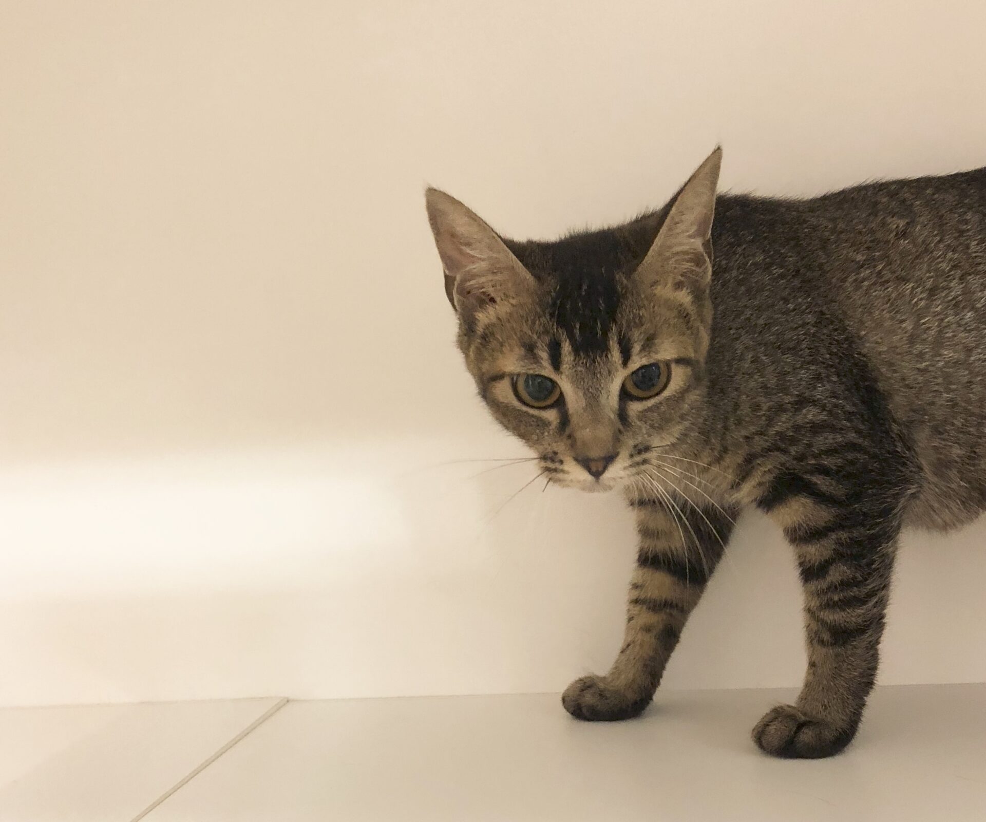 CF9BECD6-48C8-4987-B9AF-9DC1C02F3FCB