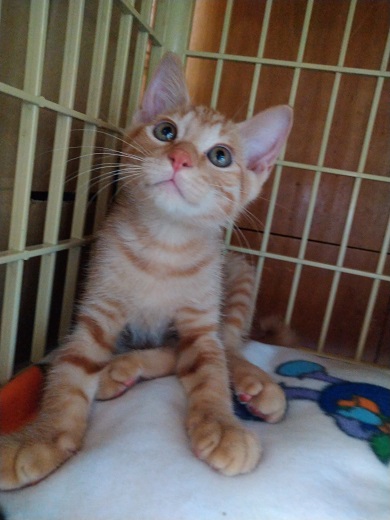 DSC_0000_BURST20210816112458474