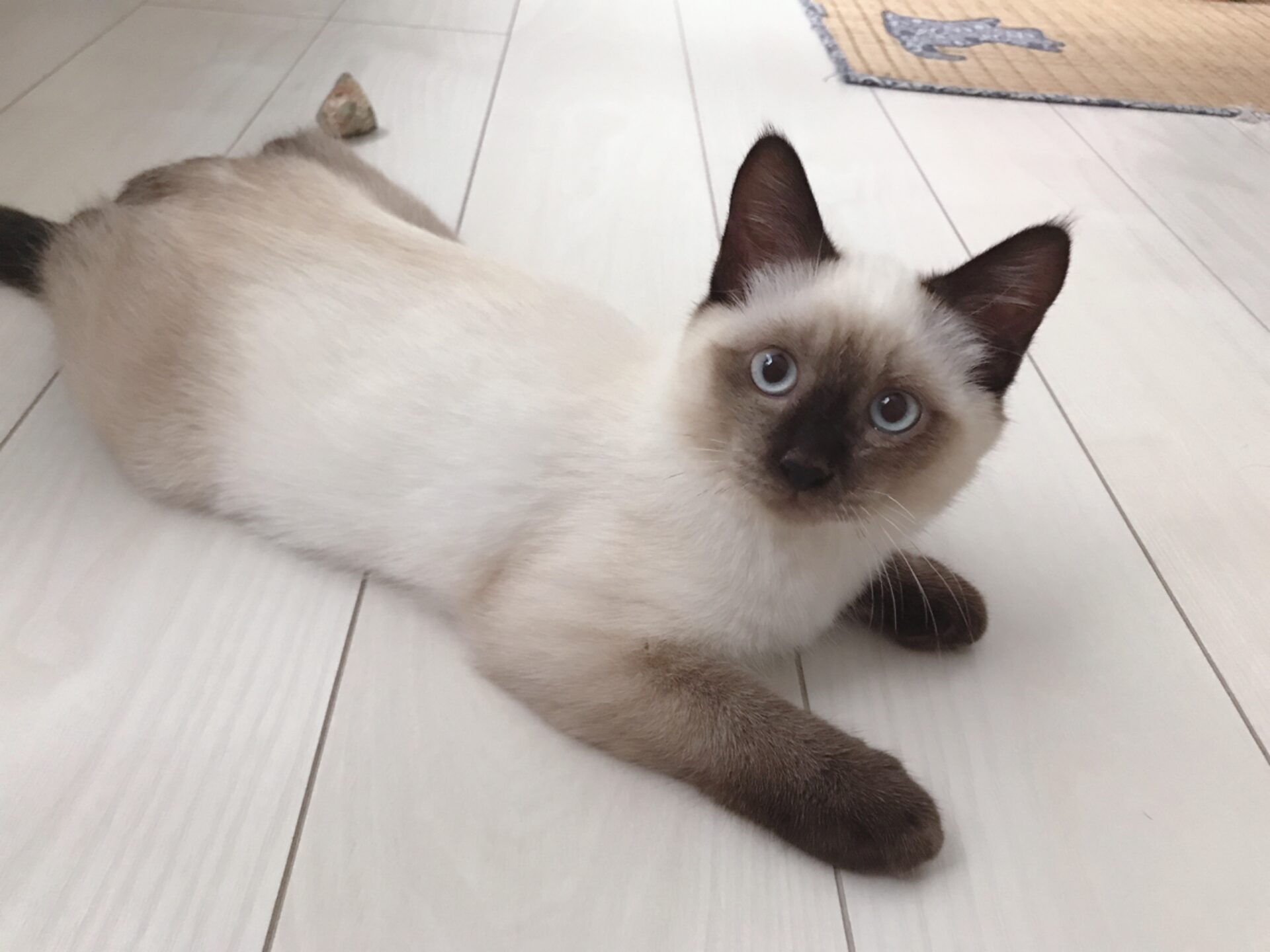 F5CFD658-1CF4-477A-AF2A-04080DE9BE46