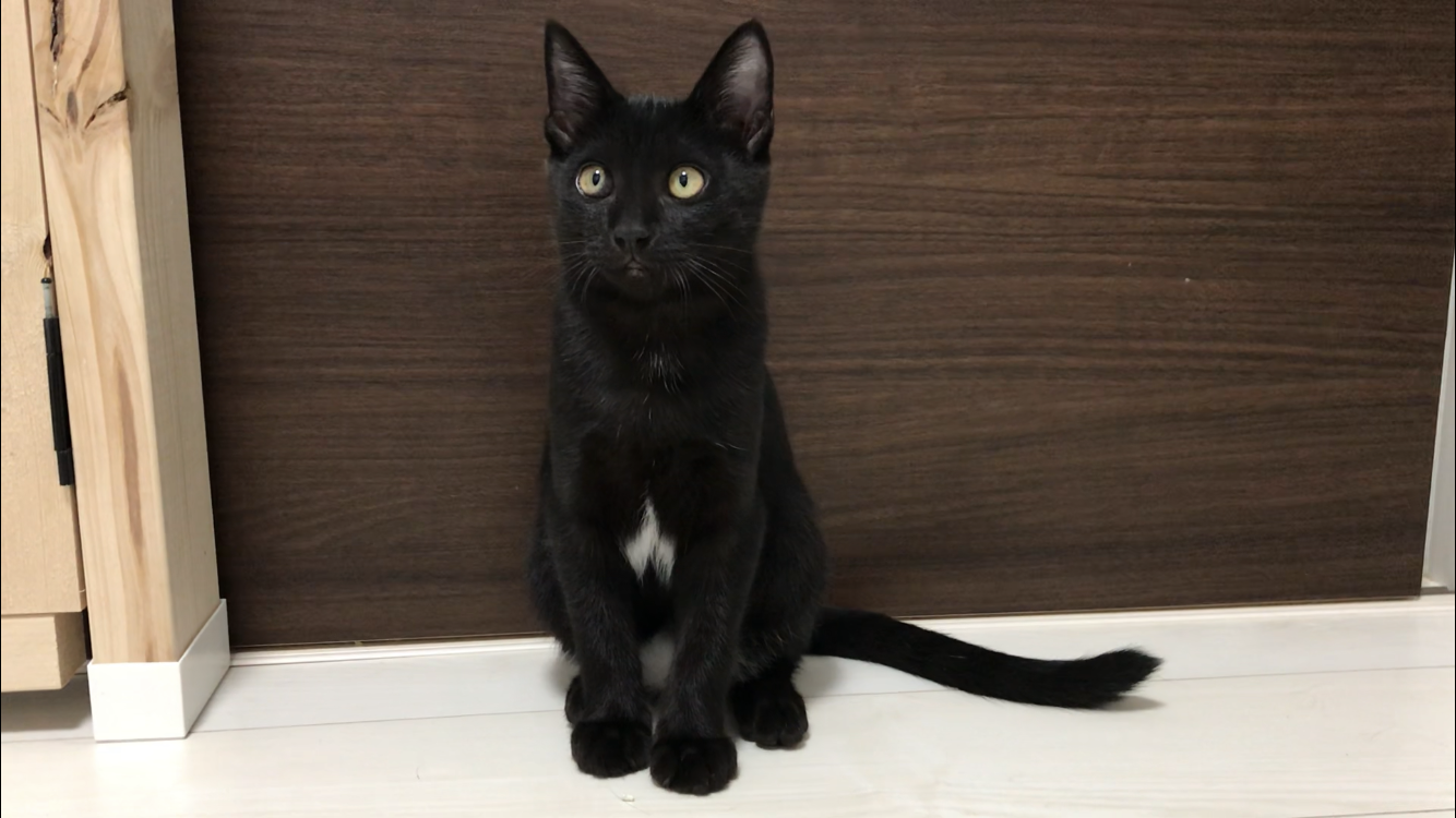 F904D78D-98A4-4D3D-AE54-FBD50C7C5E38