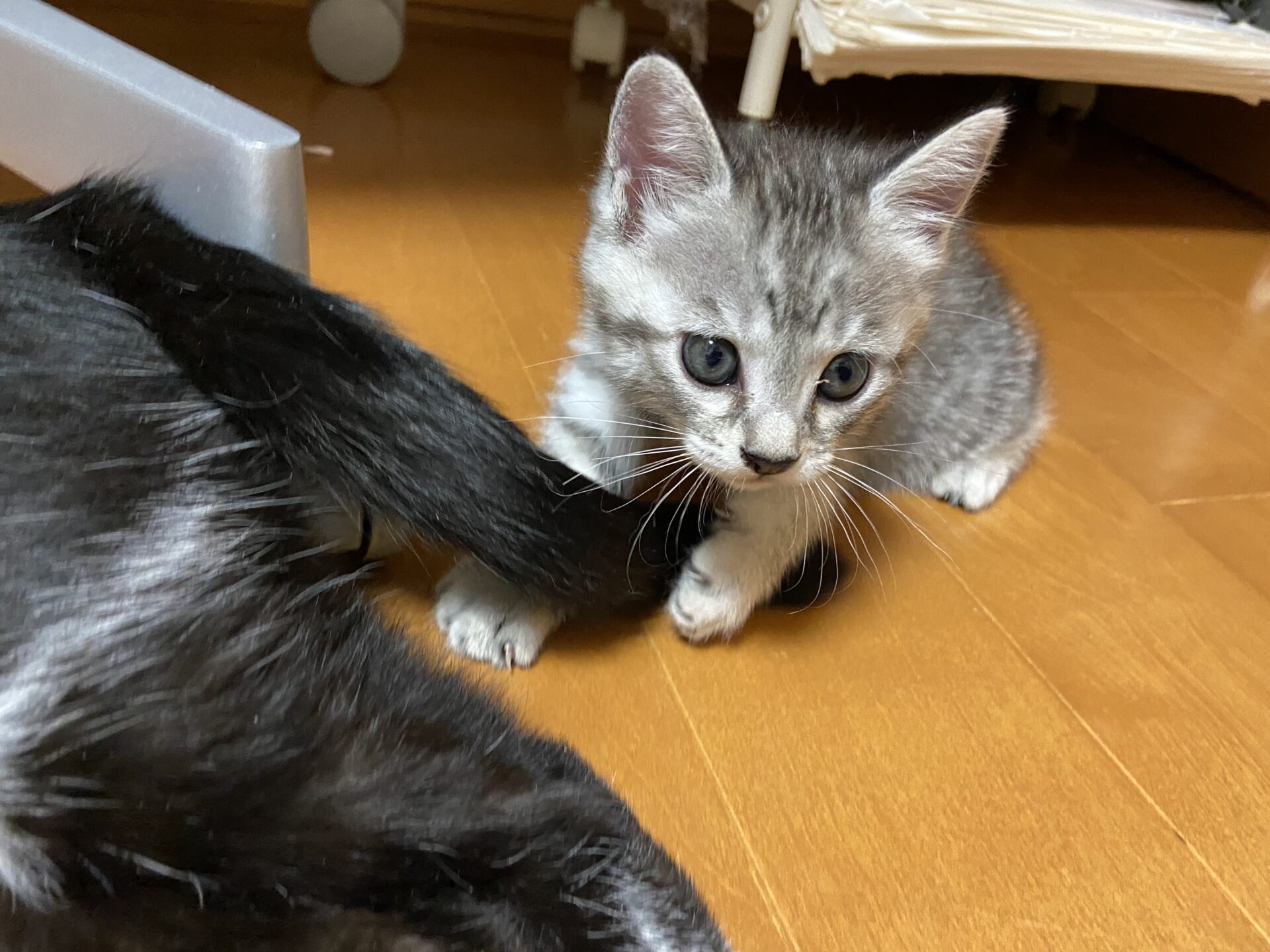 4CD4FE4F-8704-469F-AACC-1AA435CD644C