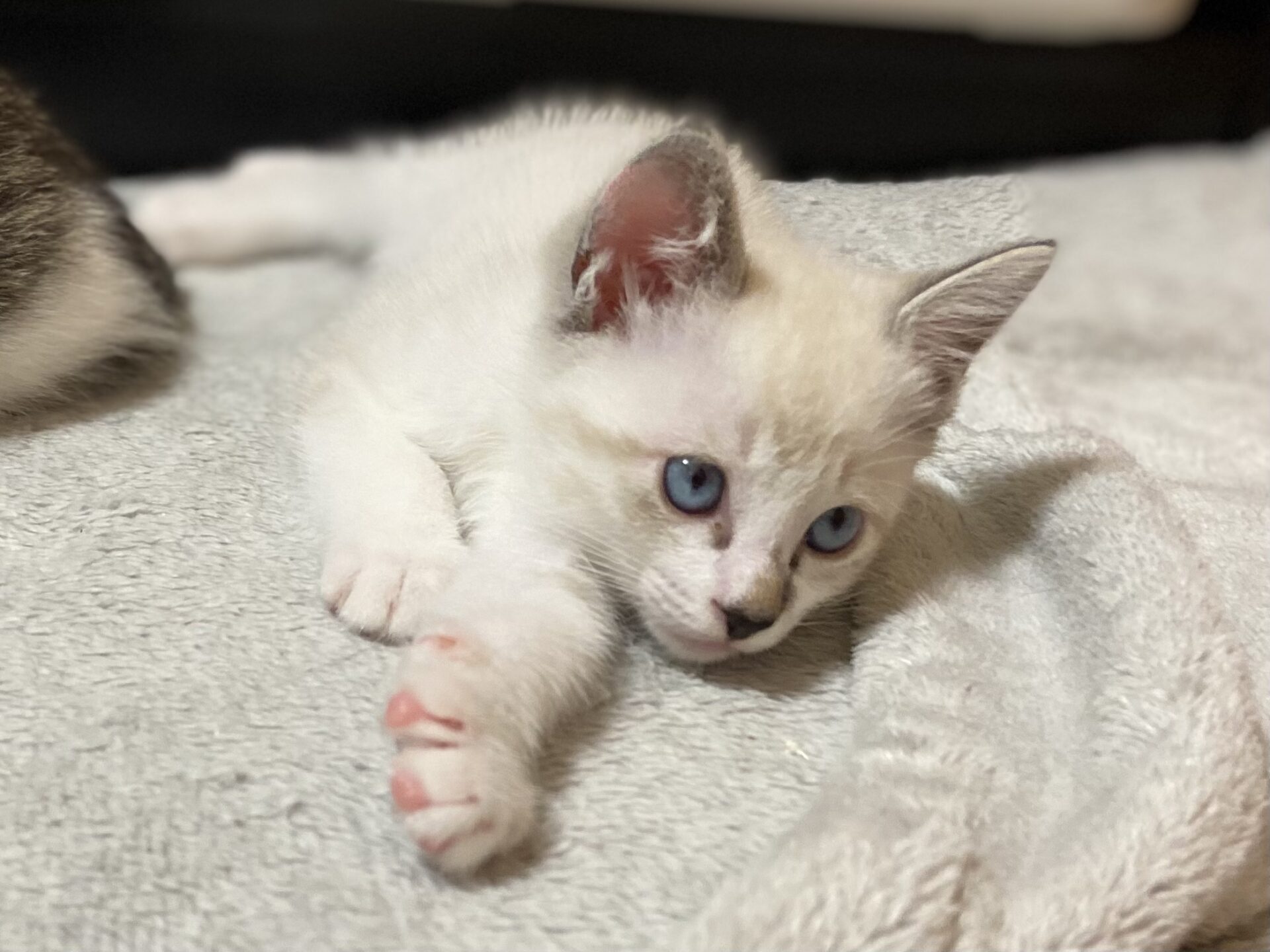 5E87D92C-E13B-48BE-944A-E74CD4E14A7A