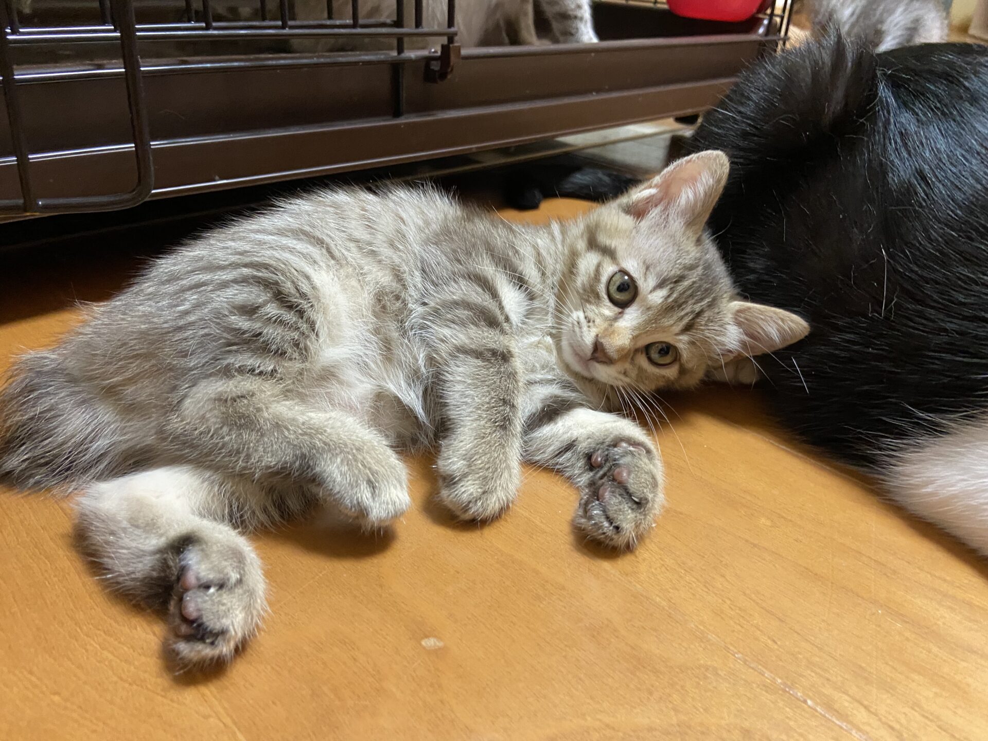 96F6F57C-9C3A-4083-A01B-456BA57D38A7