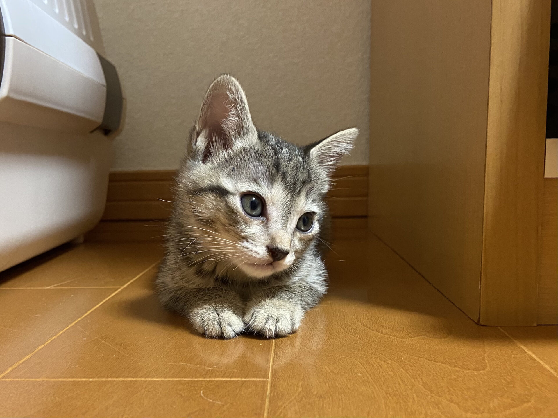 C95B059D-202E-4959-B743-B4B53271C837