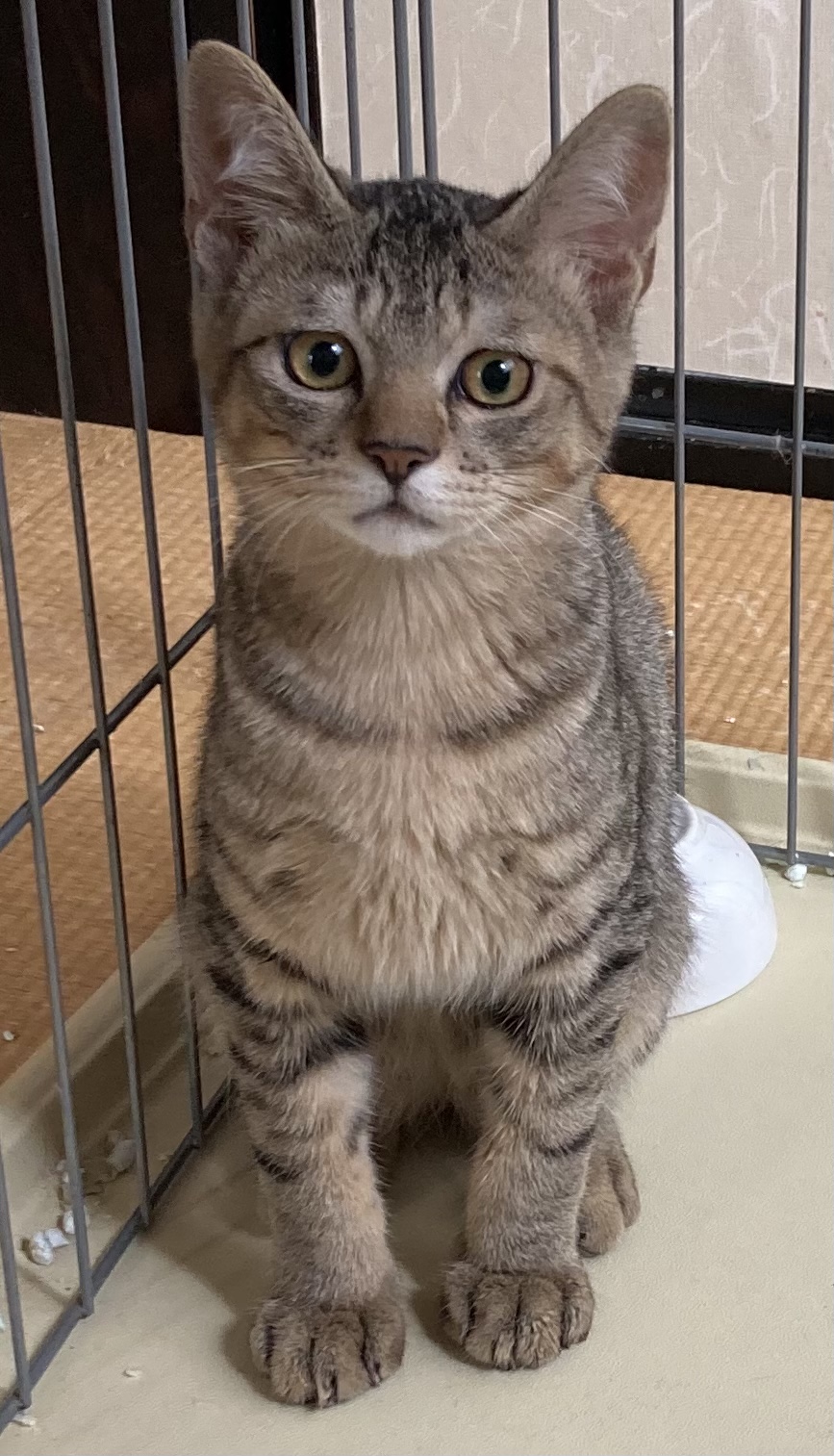 D54BAEB4-DFA4-4F55-A241-9435933EB938