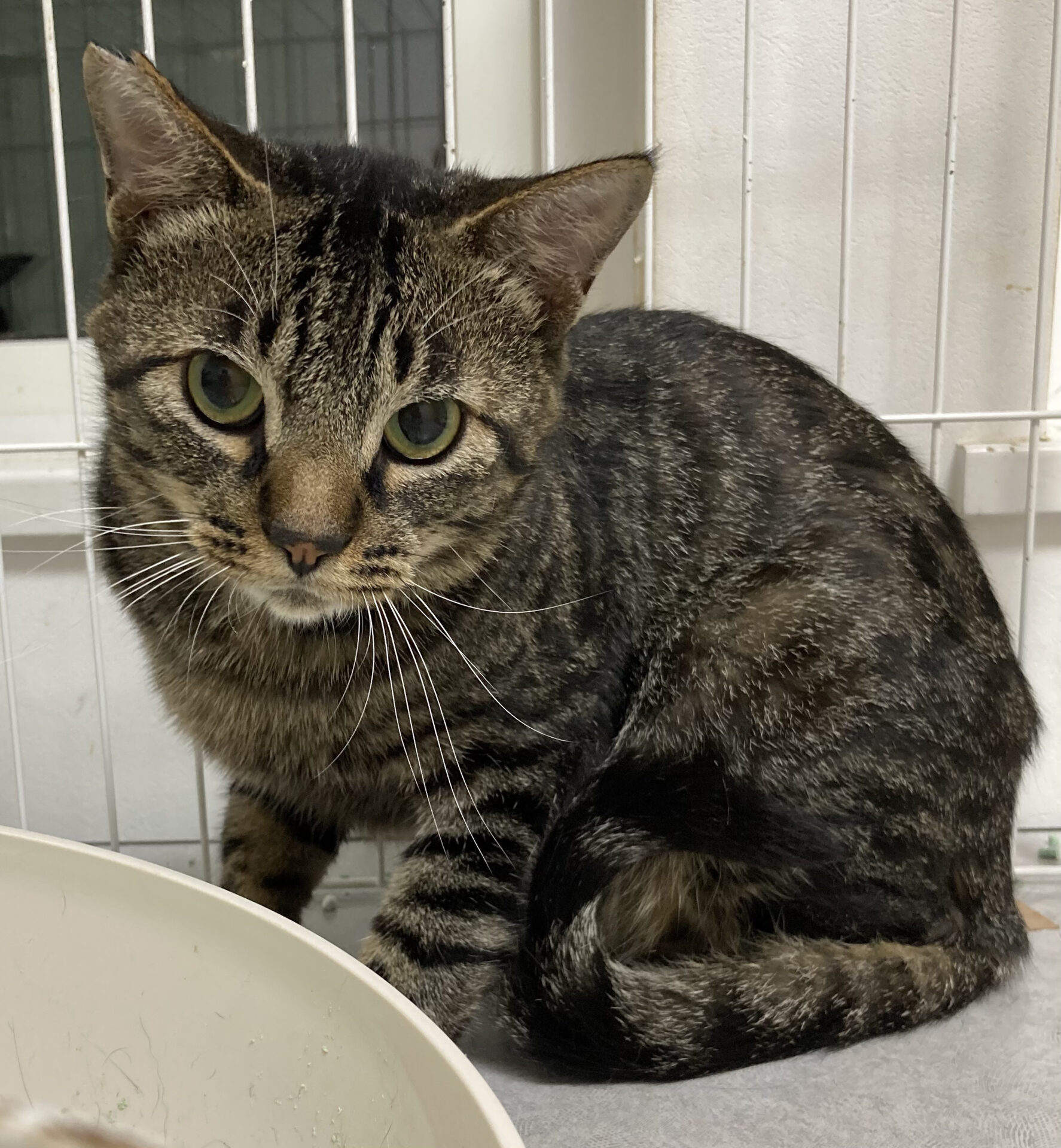 F71426D3-6D96-40A8-A8D7-50E370C092D5